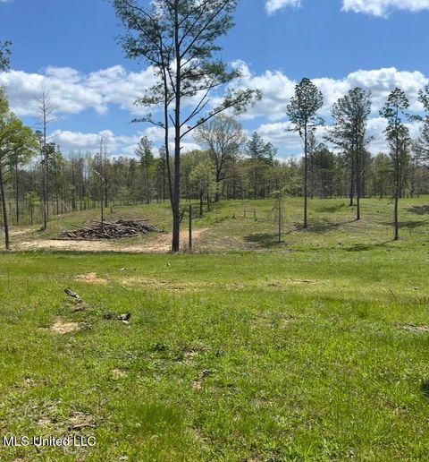 Vacant Land For Sale - J D Hood Road<br/> Utica, MS 39175