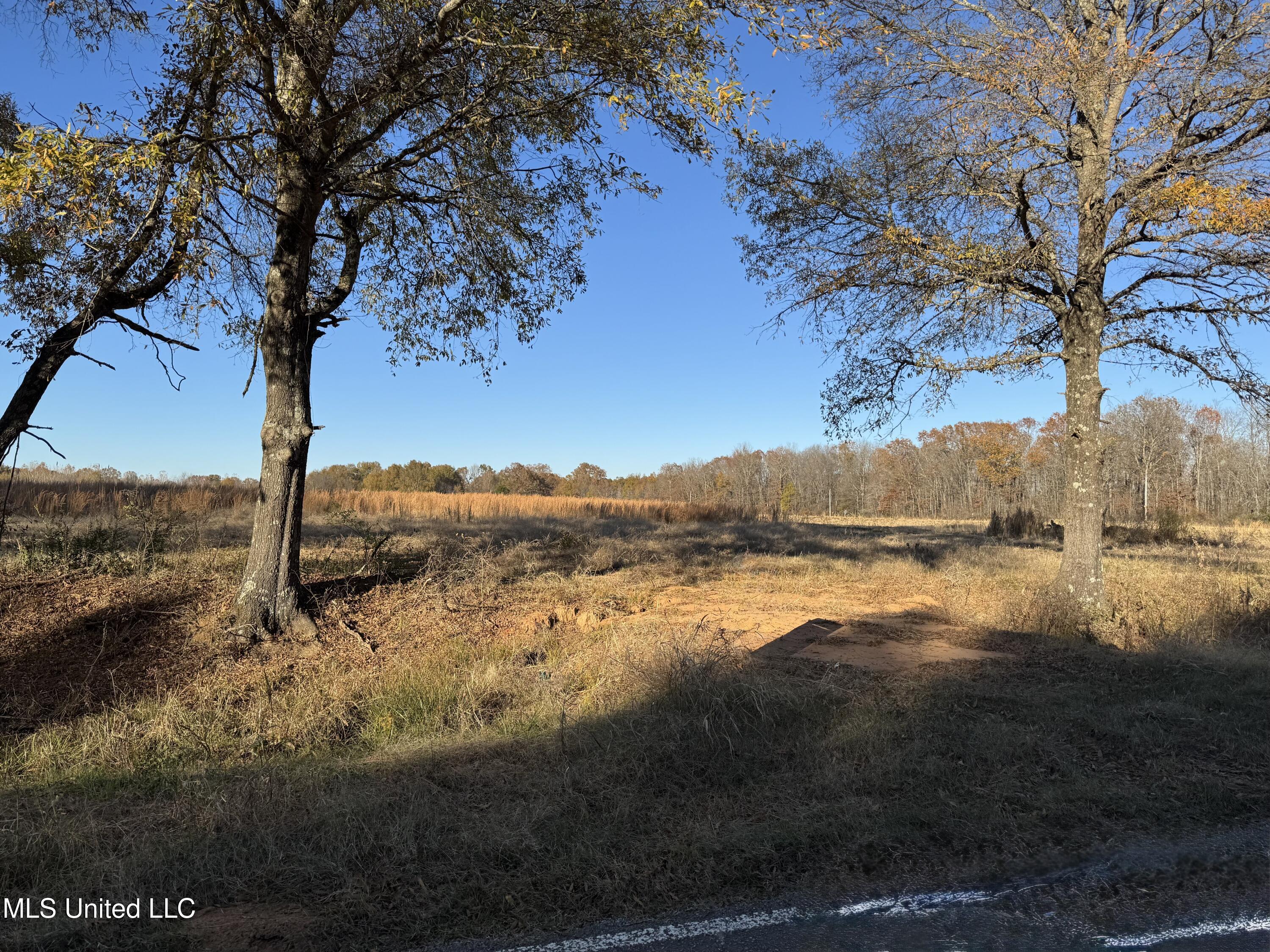 Lot 15 Bryan Road Rd, Michigan City, Mississippi image 4