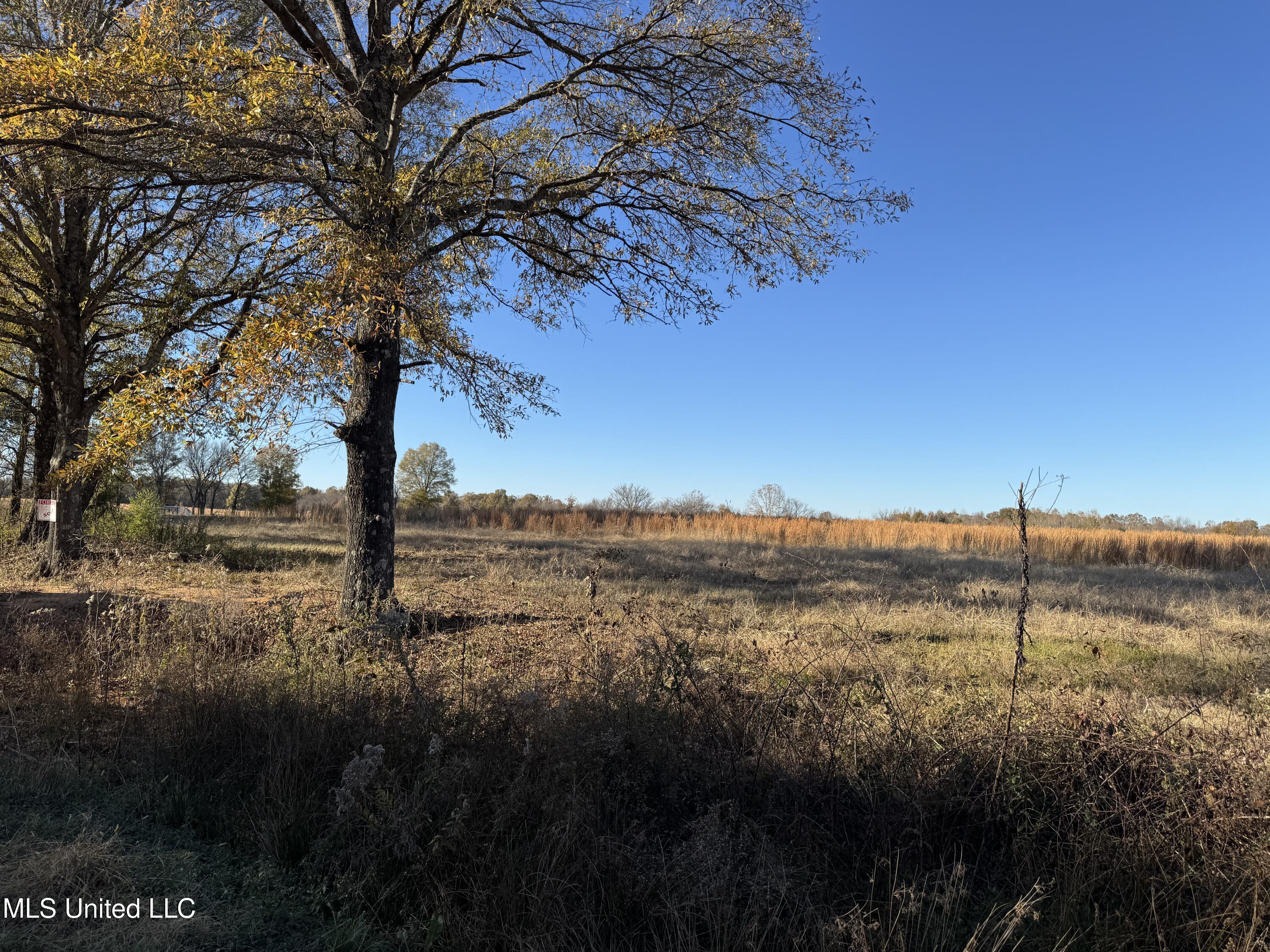 Lot 15 Bryan Road Rd, Michigan City, Mississippi image 5