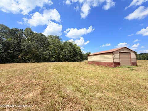 Vacant Land For Sale - 002 Smith Avenue Road<br/> Leake County, Carthage, MS 39051