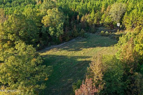 Vacant Land For Sale - 01 County Road 107<br/> Calhoun County, Pittsboro, MS 38951