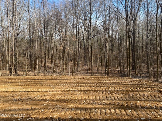BROWNSFERRY RD, SAVAGE, MS 38665 - Image fe51c84d9b841b0a6ec19dd67505ea01/1471332855