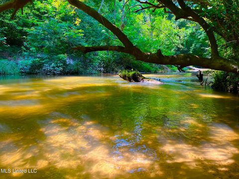 Vacant Land For Sale - Twin Bridge Rd<br/> Sandy Hook, MS 39478