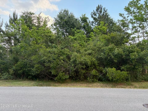Vacant Land For Sale - 116 Engman Avenue<br/> Bay Saint Louis, MS 39520