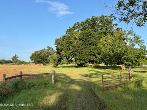 Vacant Land For Sale - 64.9 Acres Neely Avera Road<br/> Greene County, Neely, MS 39461