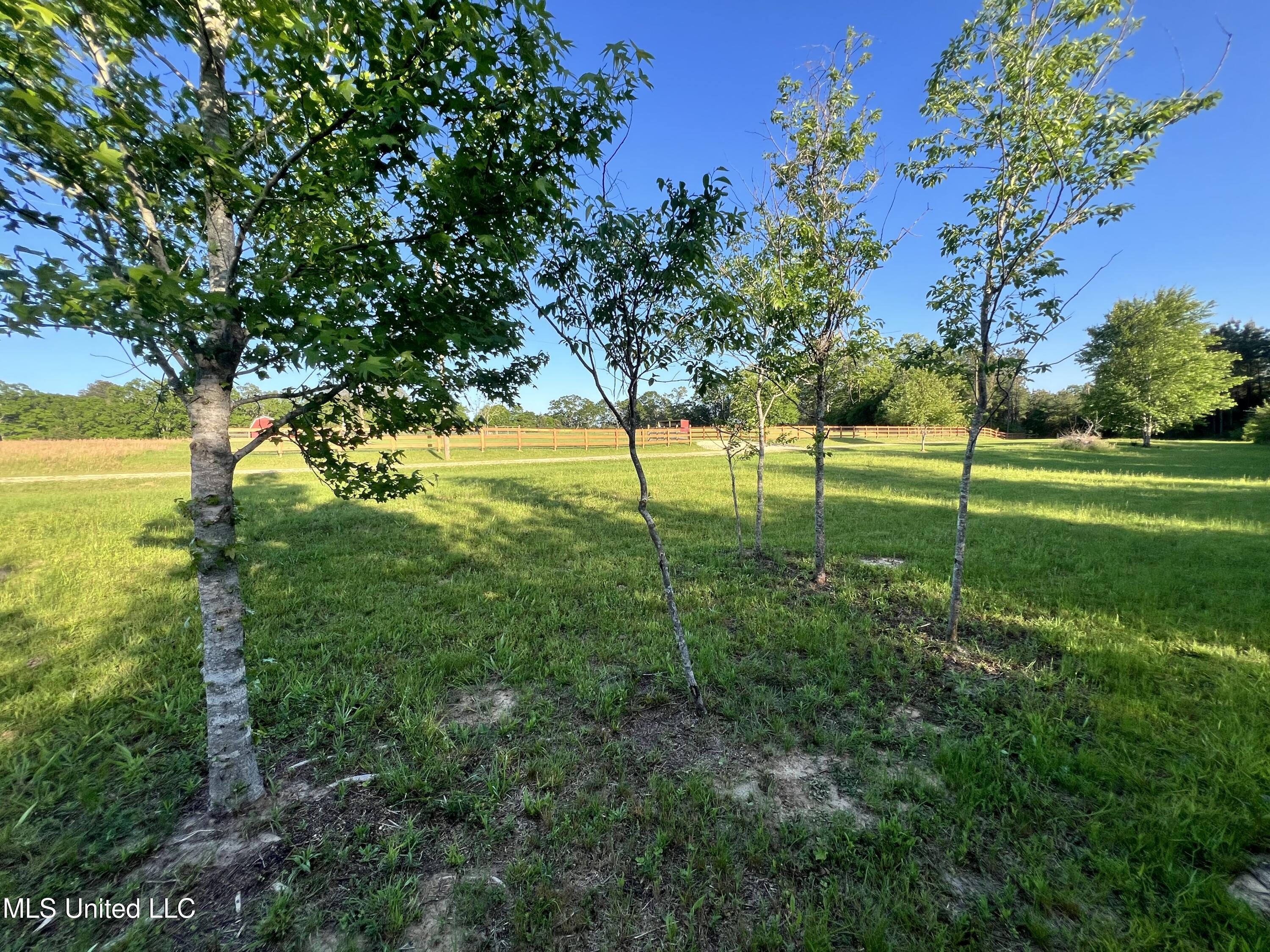 33 Lilliemae Ln, Poplarville, Mississippi image 13