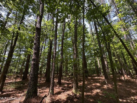 Vacant Land For Sale - 4 County Road 444<br/> Philadelphia, MS 39350