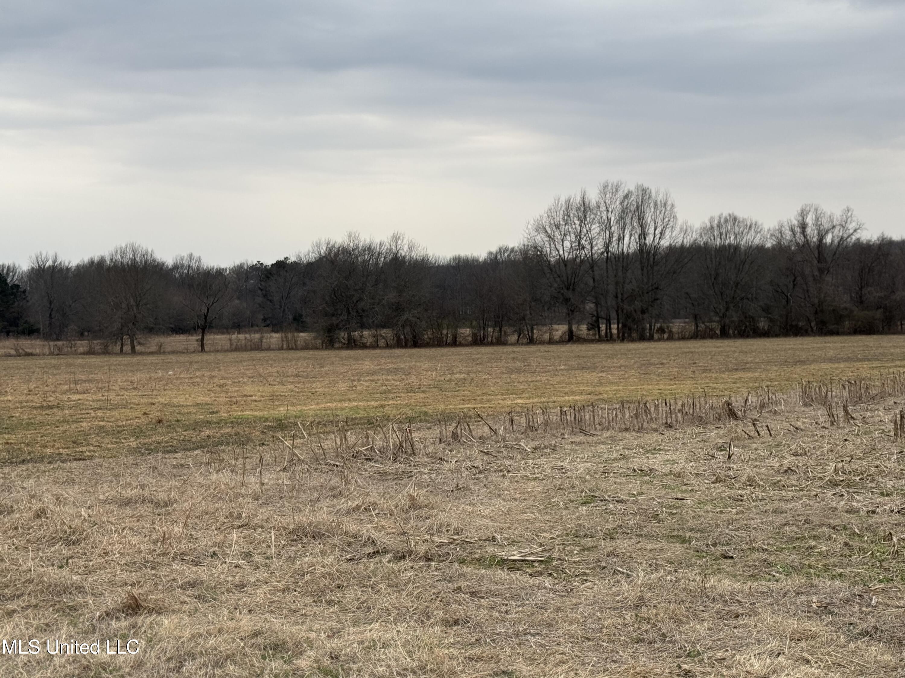 S Old Hwy 51 Pt, Hernando, Mississippi image 18