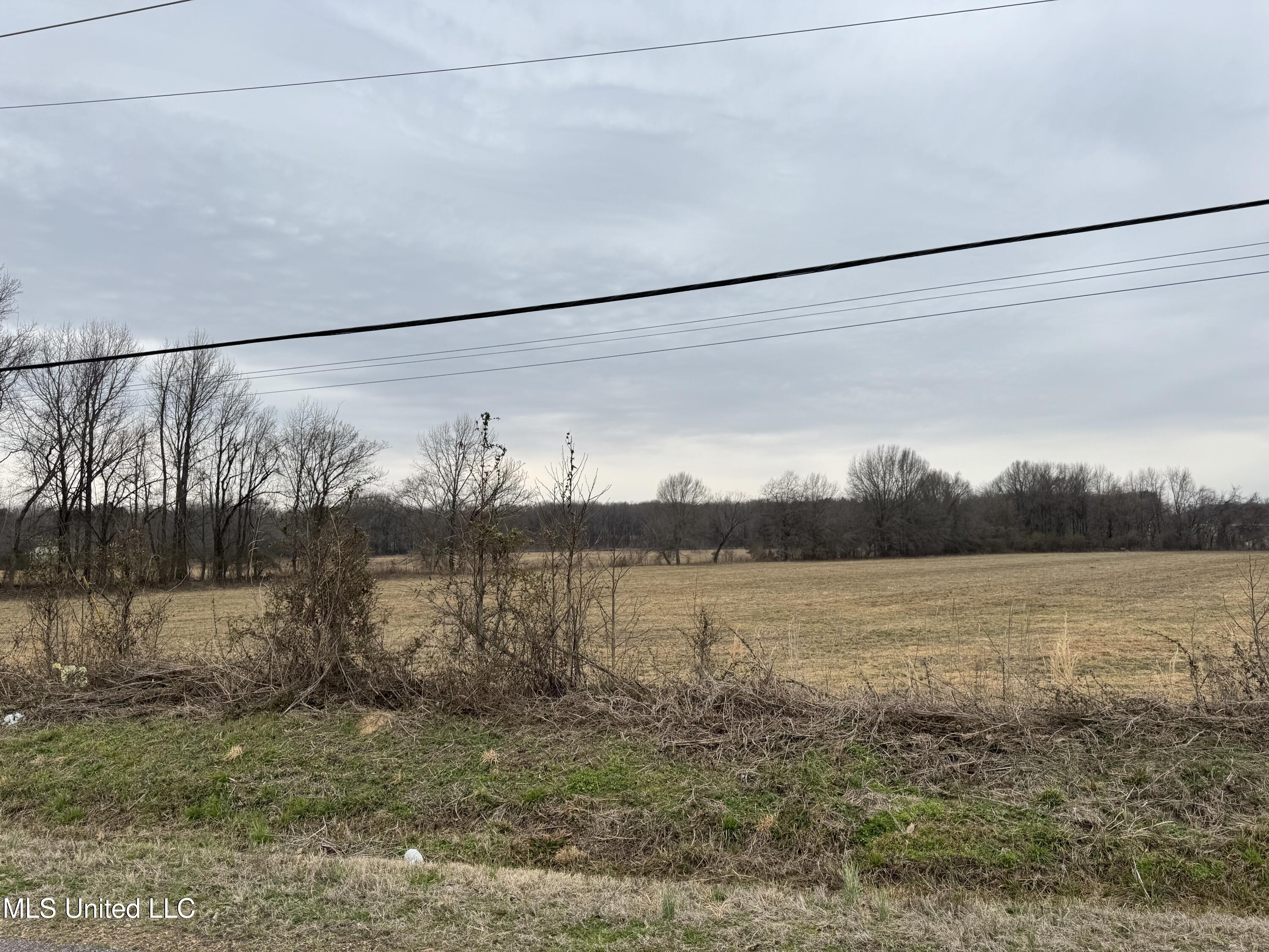 S Old Hwy 51 Pt, Hernando, Mississippi image 19