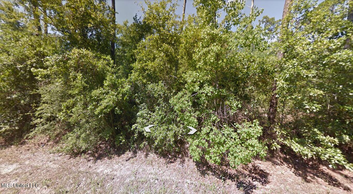 Lot 2636 Bay Street, Ocean Springs, Mississippi image 1