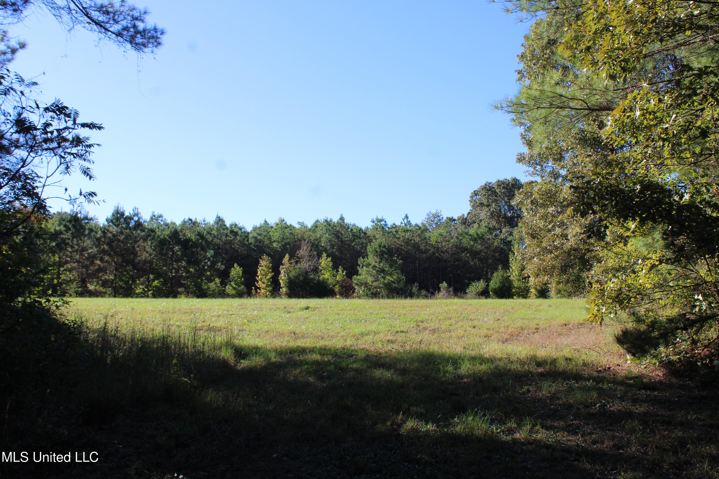 1505 Lower Gurley Road, Potts Camp, Mississippi image 50