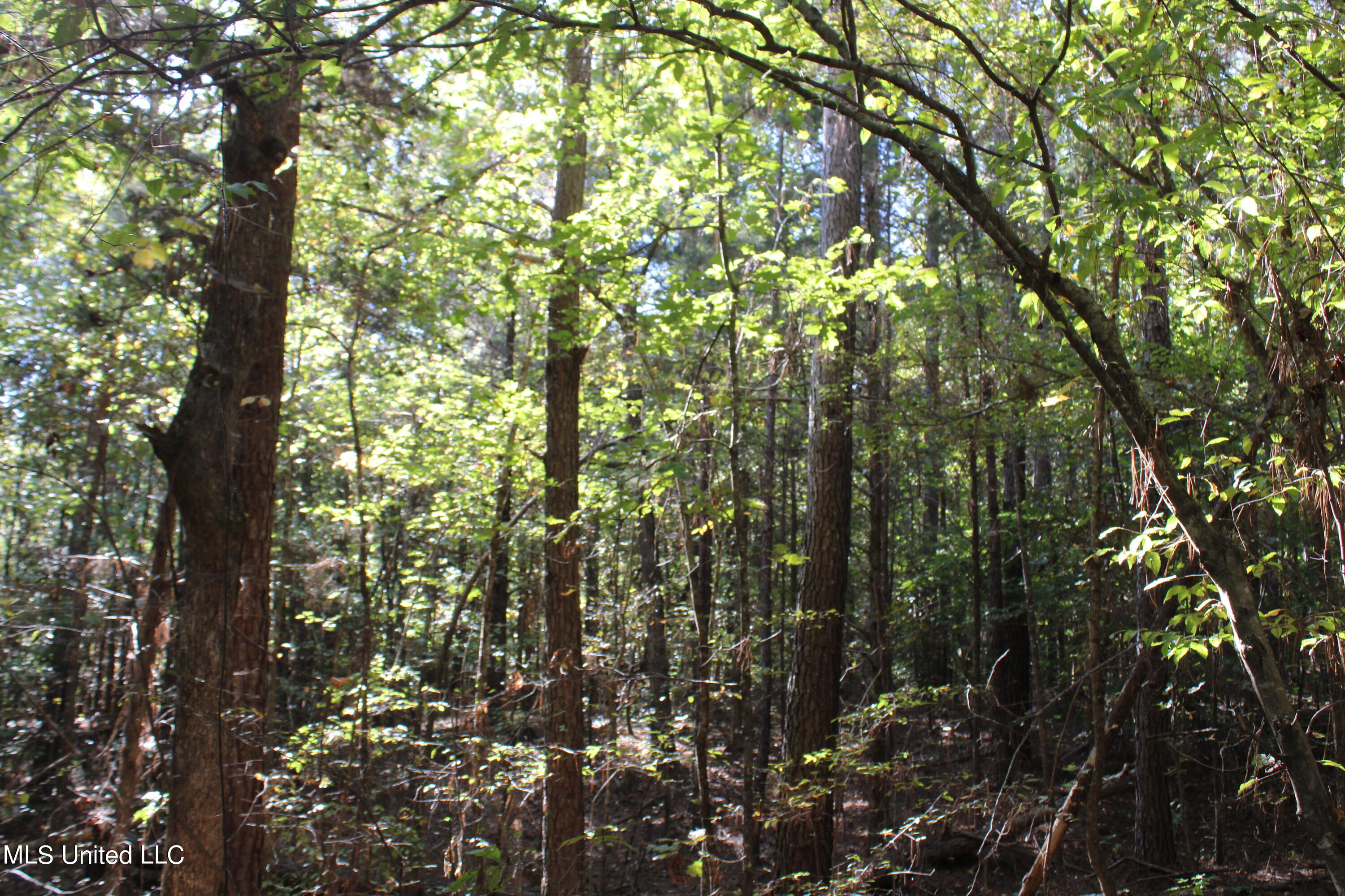 1505 Lower Gurley Road, Potts Camp, Mississippi image 42