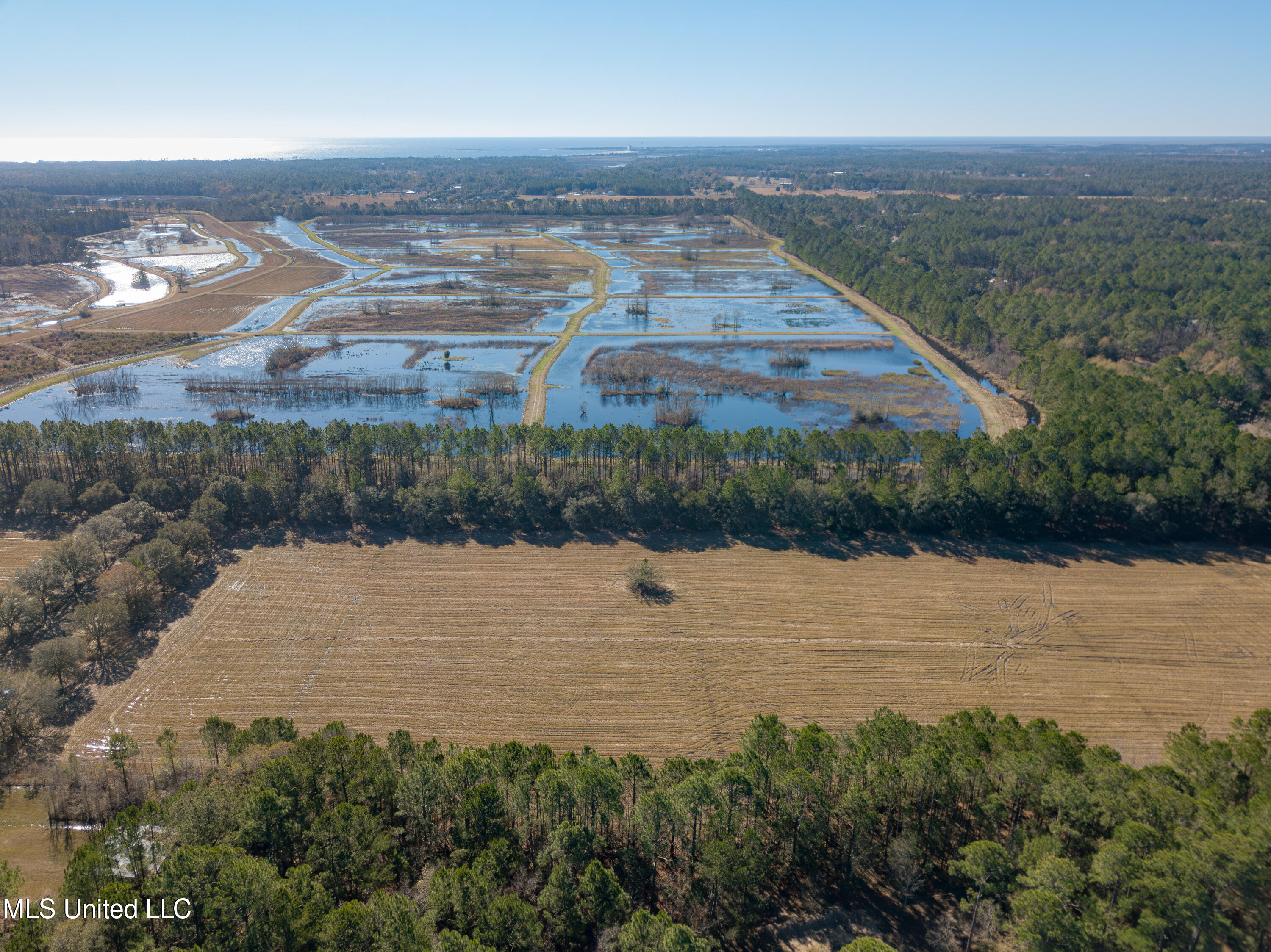 Old Gainsville Rd Road, Bay Saint Louis, Mississippi image 6