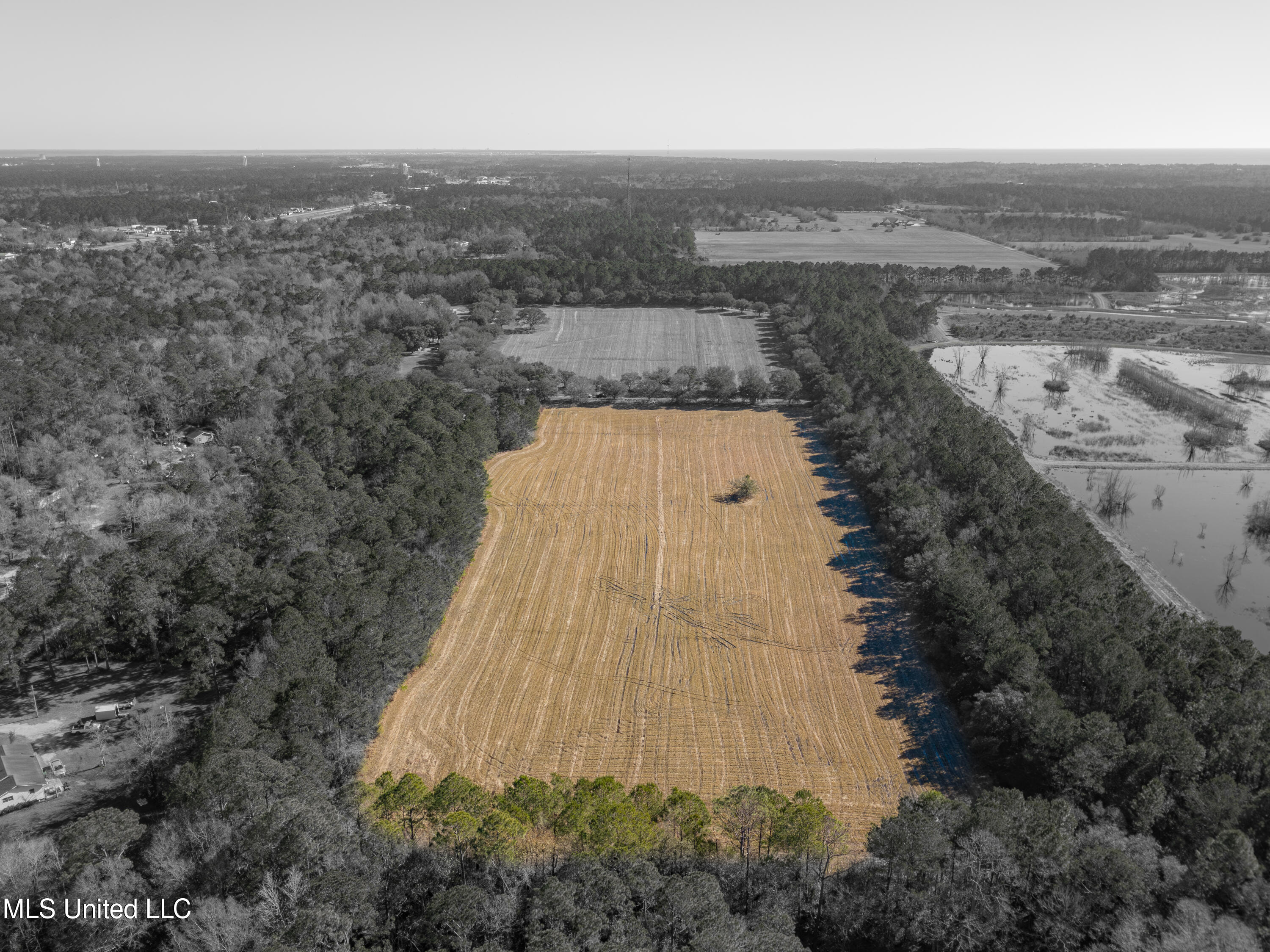 Old Gainsville Rd Road, Bay Saint Louis, Mississippi image 4