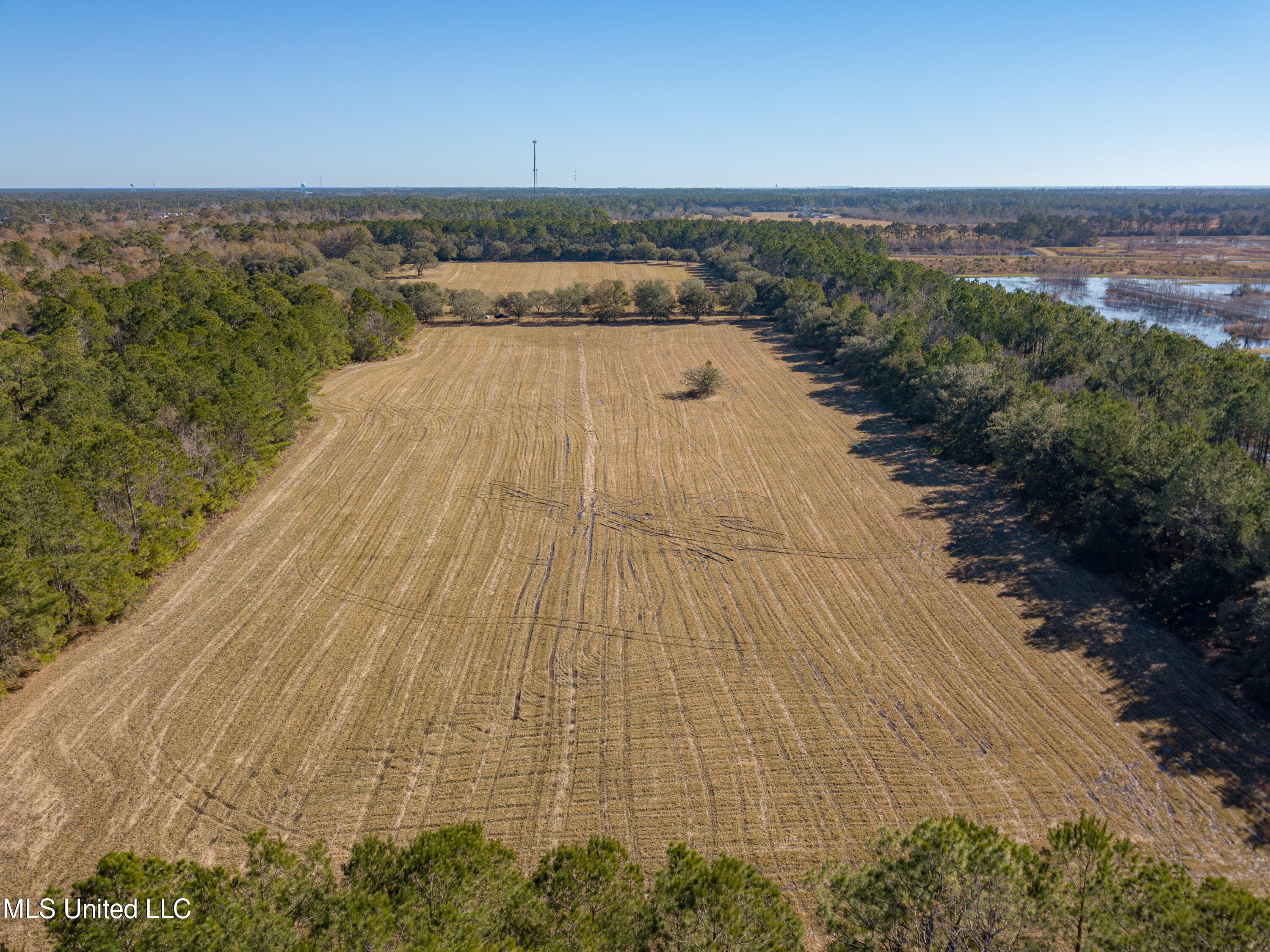 Old Gainsville Rd Road, Bay Saint Louis, Mississippi image 13