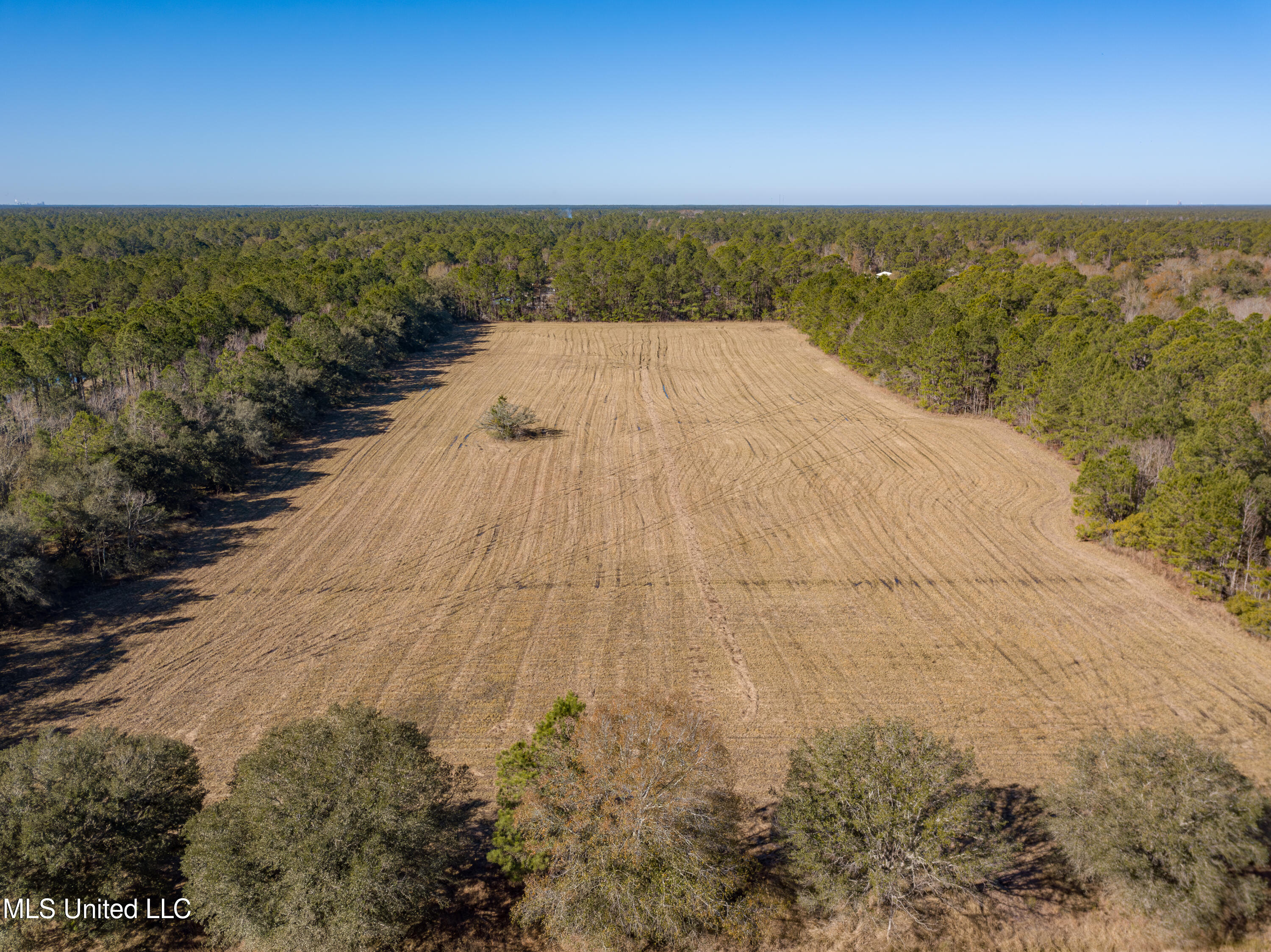 Old Gainsville Rd Road, Bay Saint Louis, Mississippi image 12