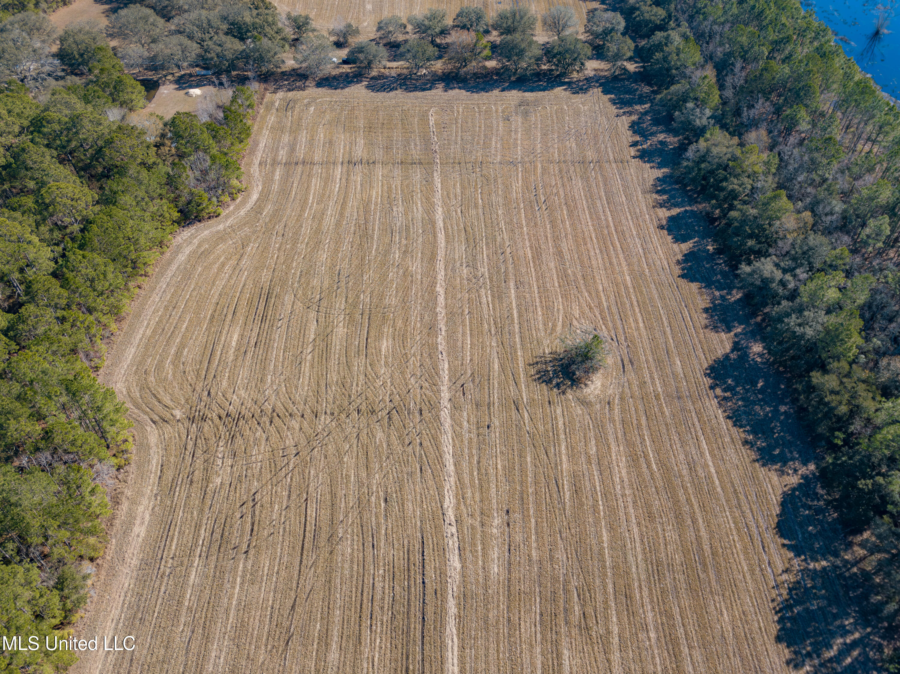 Old Gainsville Rd Road, Bay Saint Louis, Mississippi image 14