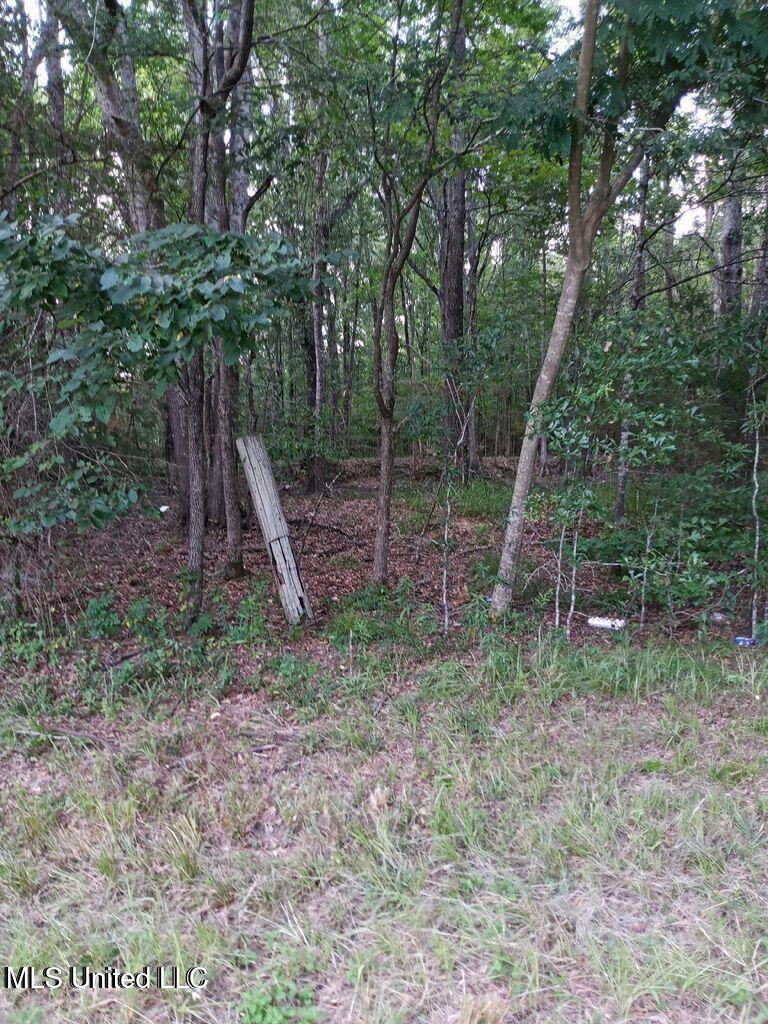 Coker Lane, Jackson, Mississippi image 7