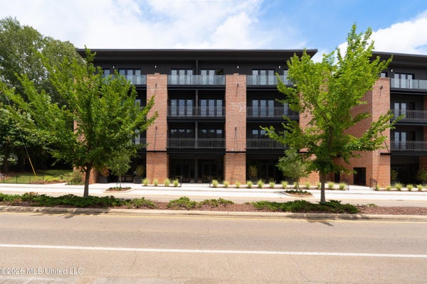 403 RUSSELL ST, STARKVILLE, MS 39759 - Image febf5f0d4fb66a22e3cf66a3dae0963d/1481867148