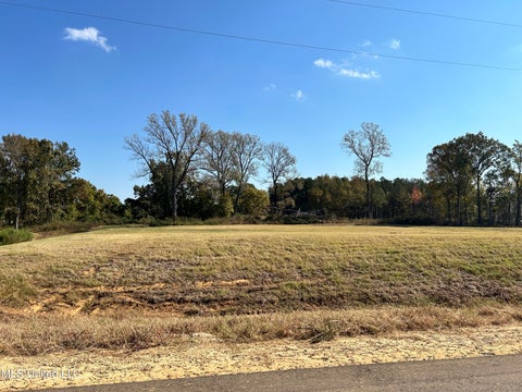 Vacant Land For Sale - 7 Hazelwood Drive<br/> Lake Cormorant, MS 38641