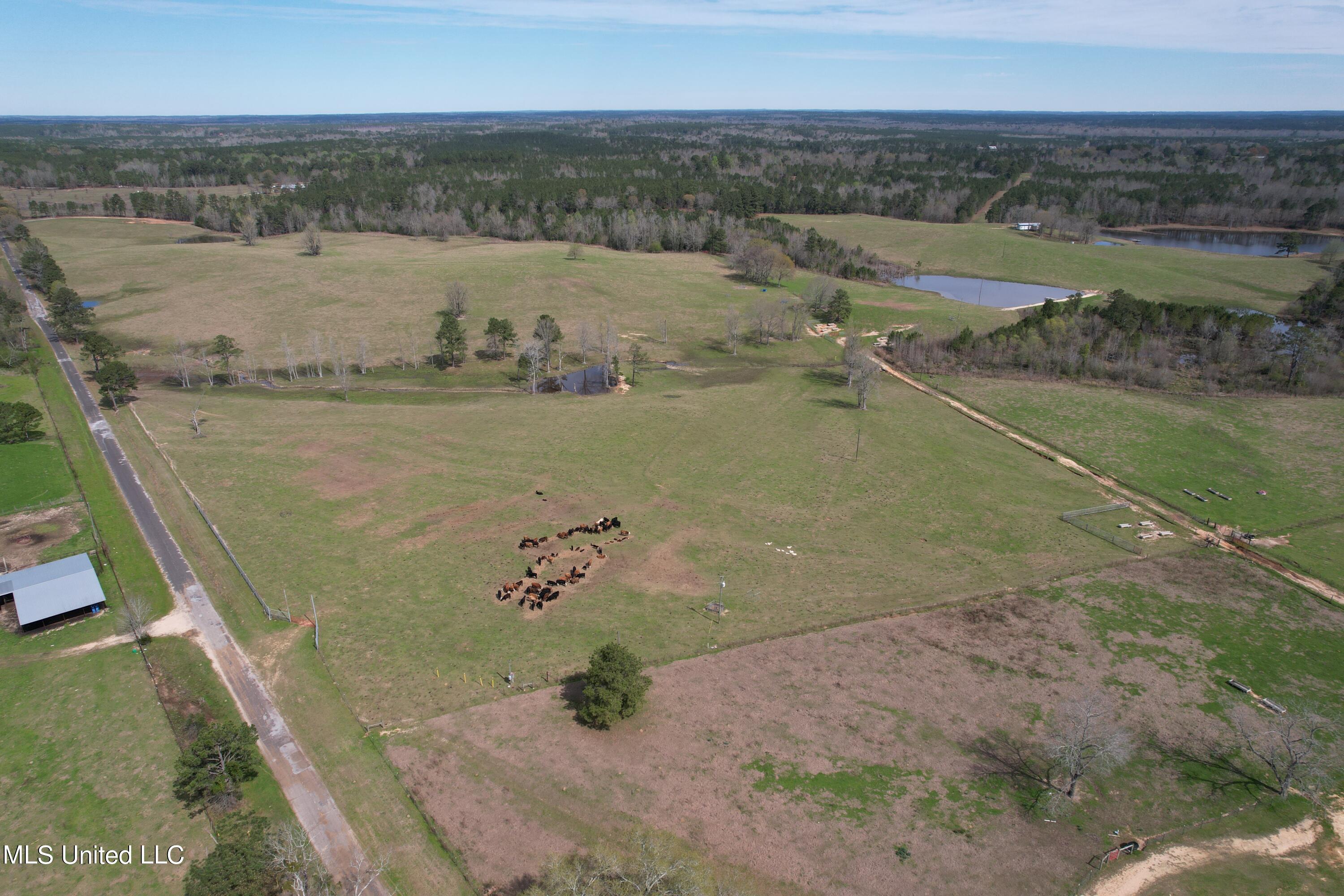 107 Co Rd 224, Pachuta, Mississippi image 6