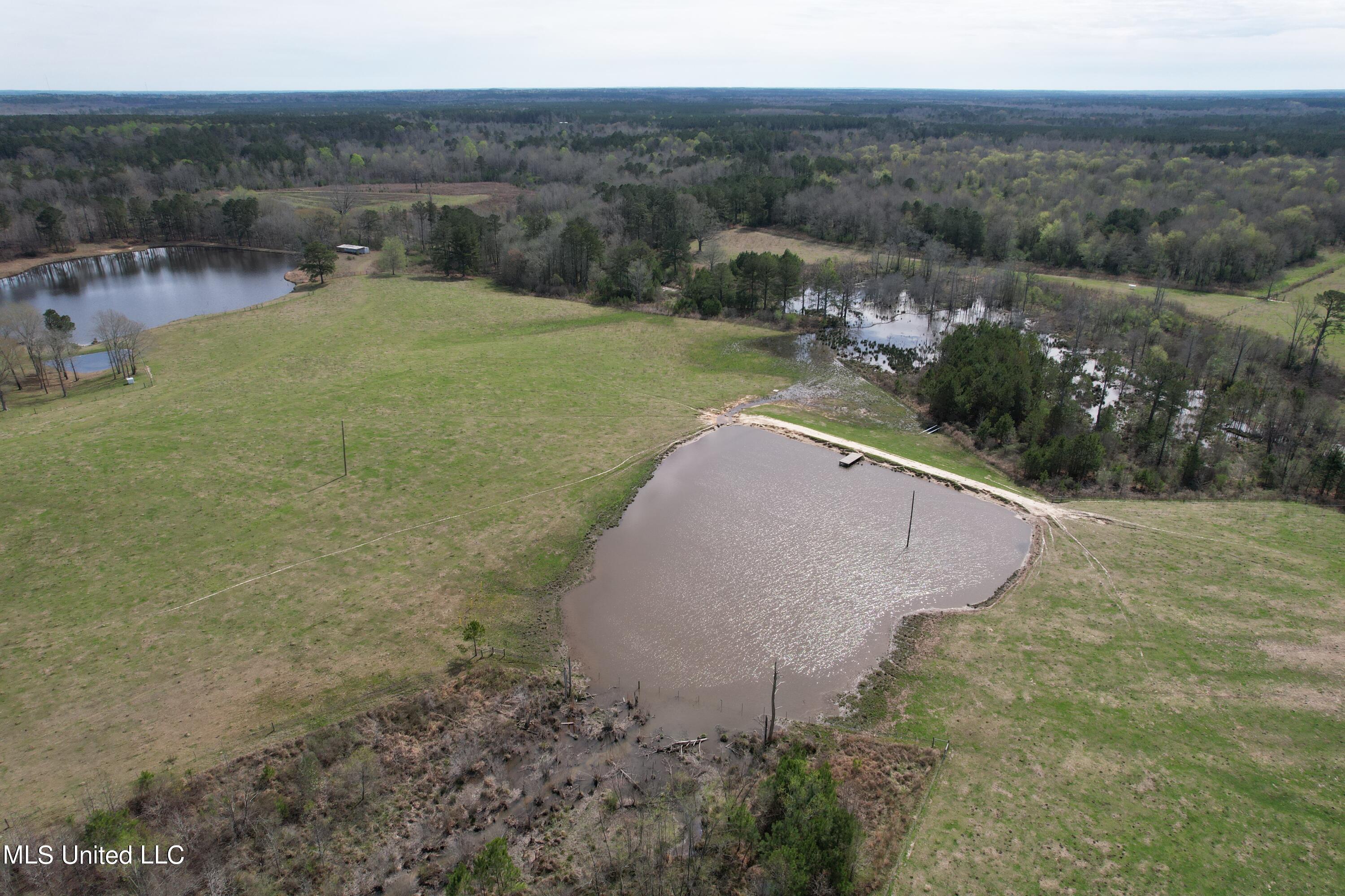107 Co Rd 224, Pachuta, Mississippi image 12