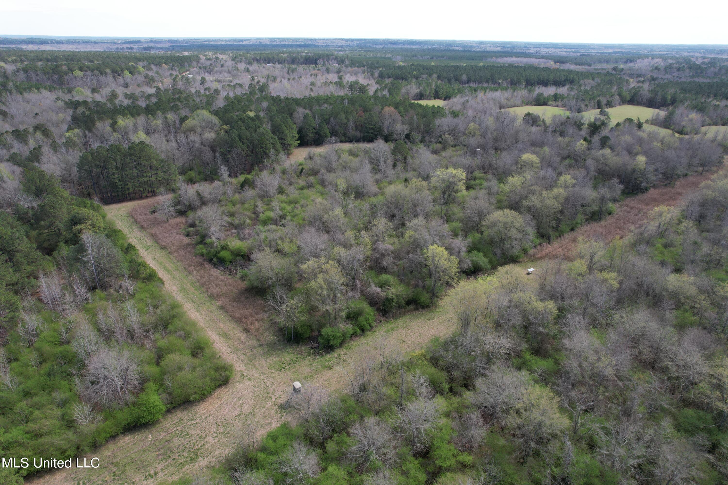 107 Co Rd 224, Pachuta, Mississippi image 44
