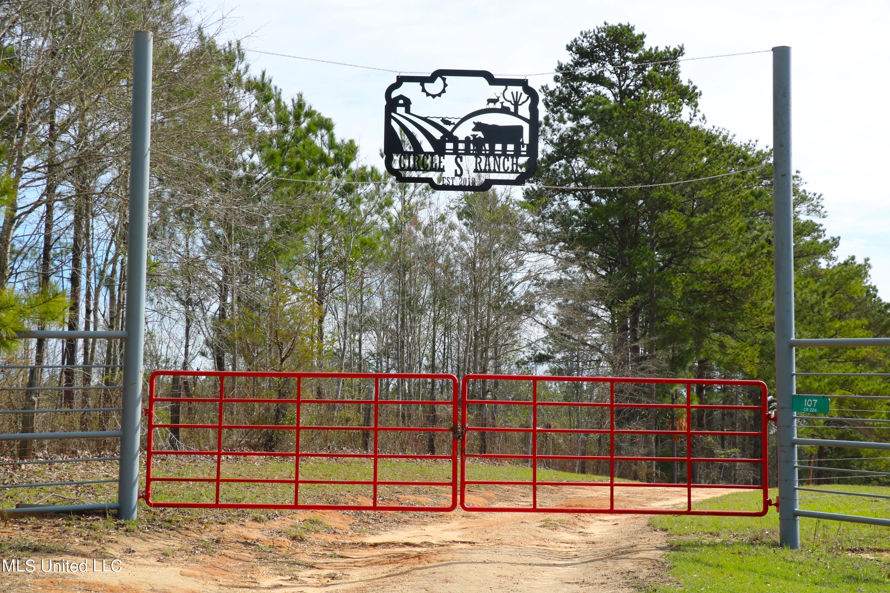 107 Co Rd 224, Pachuta, Mississippi image 1