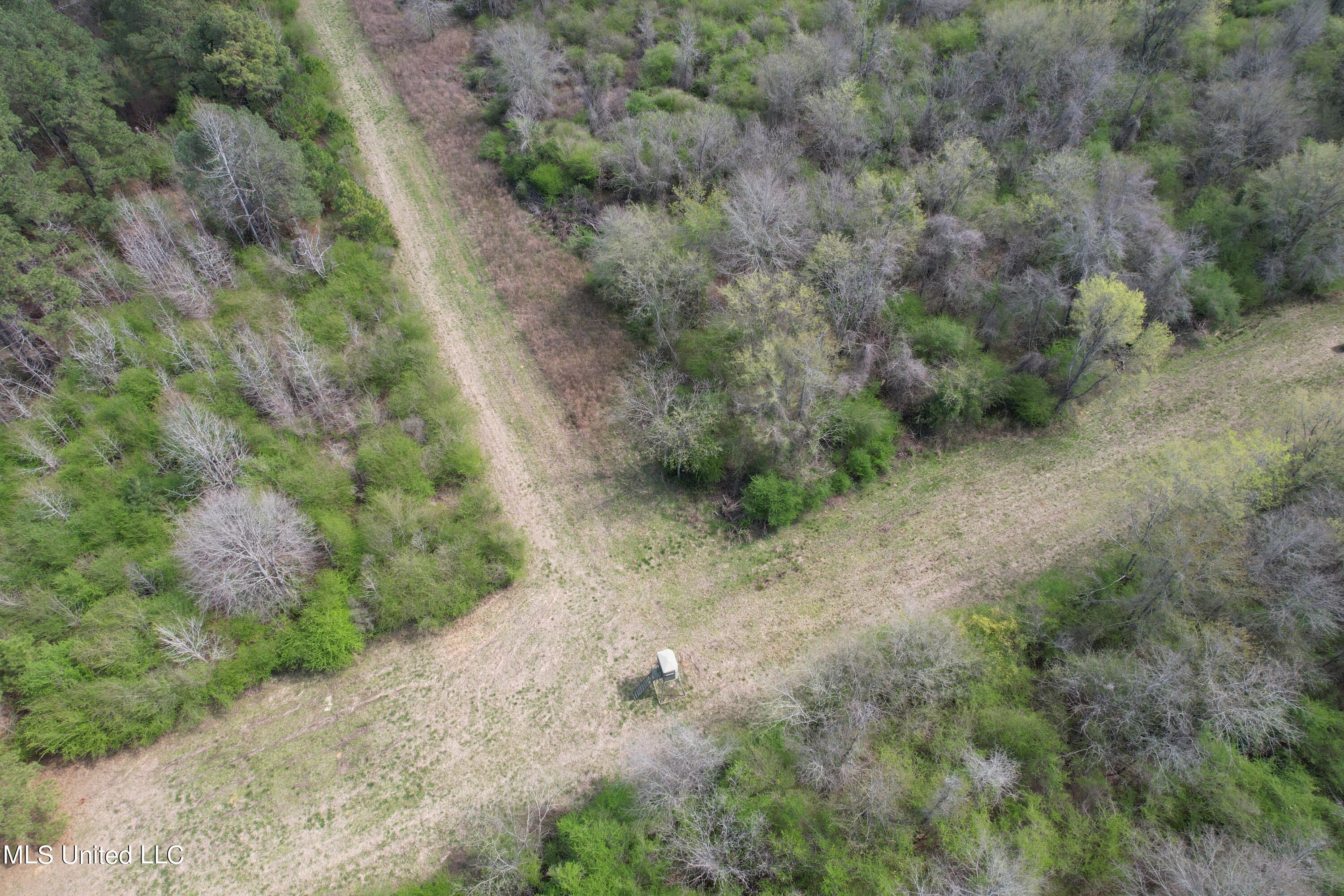107 Co Rd 224, Pachuta, Mississippi image 45