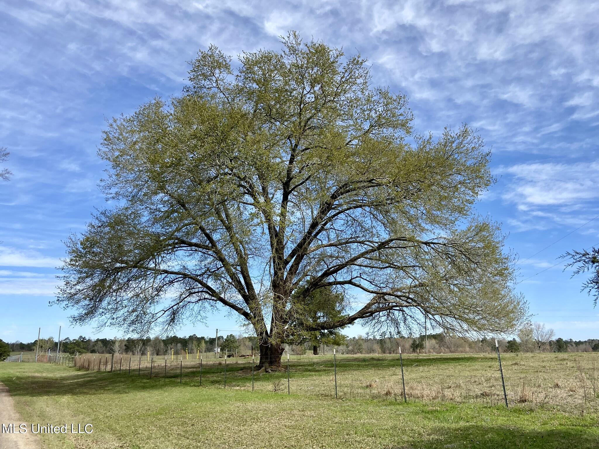 107 Co Rd 224, Pachuta, Mississippi image 18