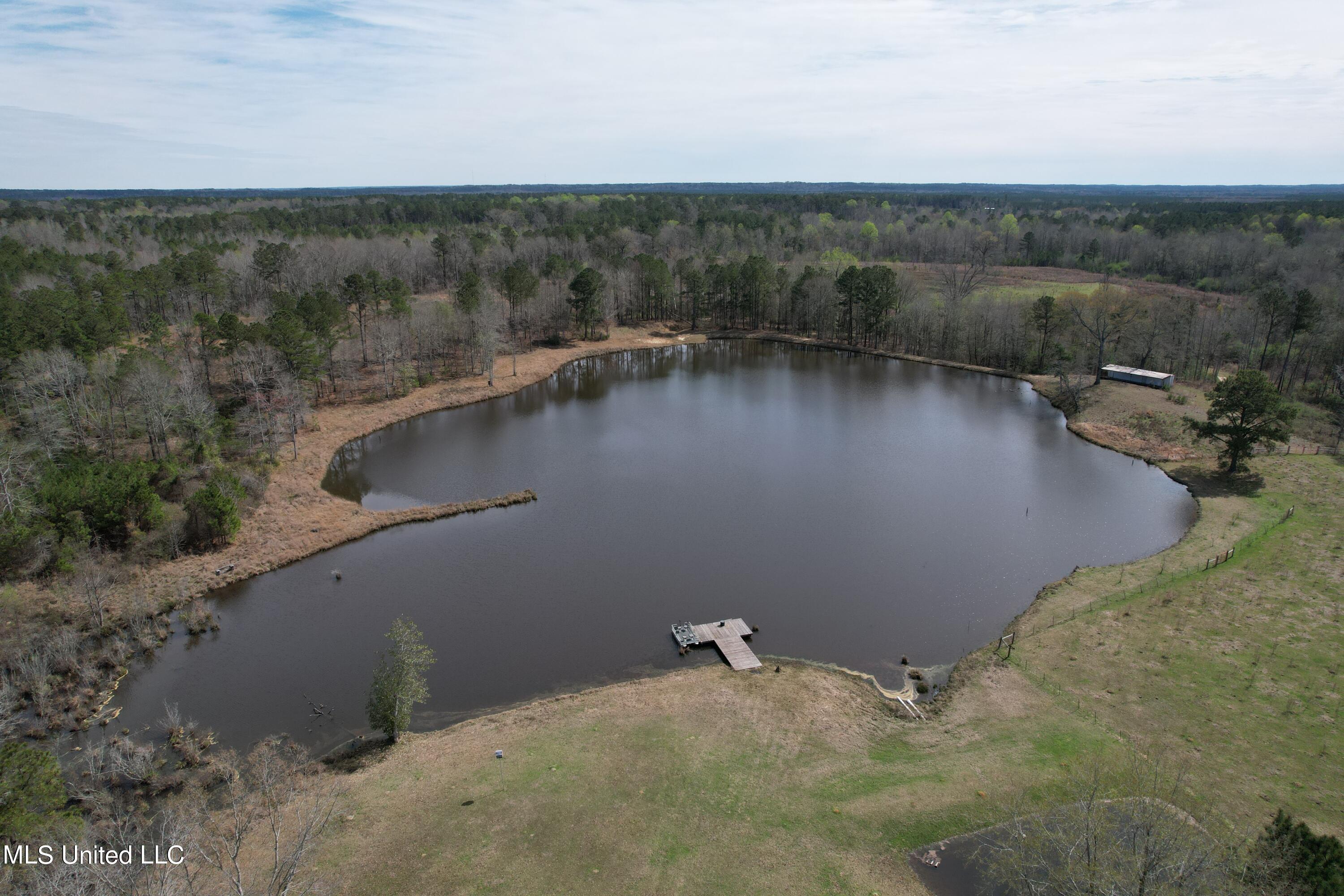 107 Co Rd 224, Pachuta, Mississippi image 25