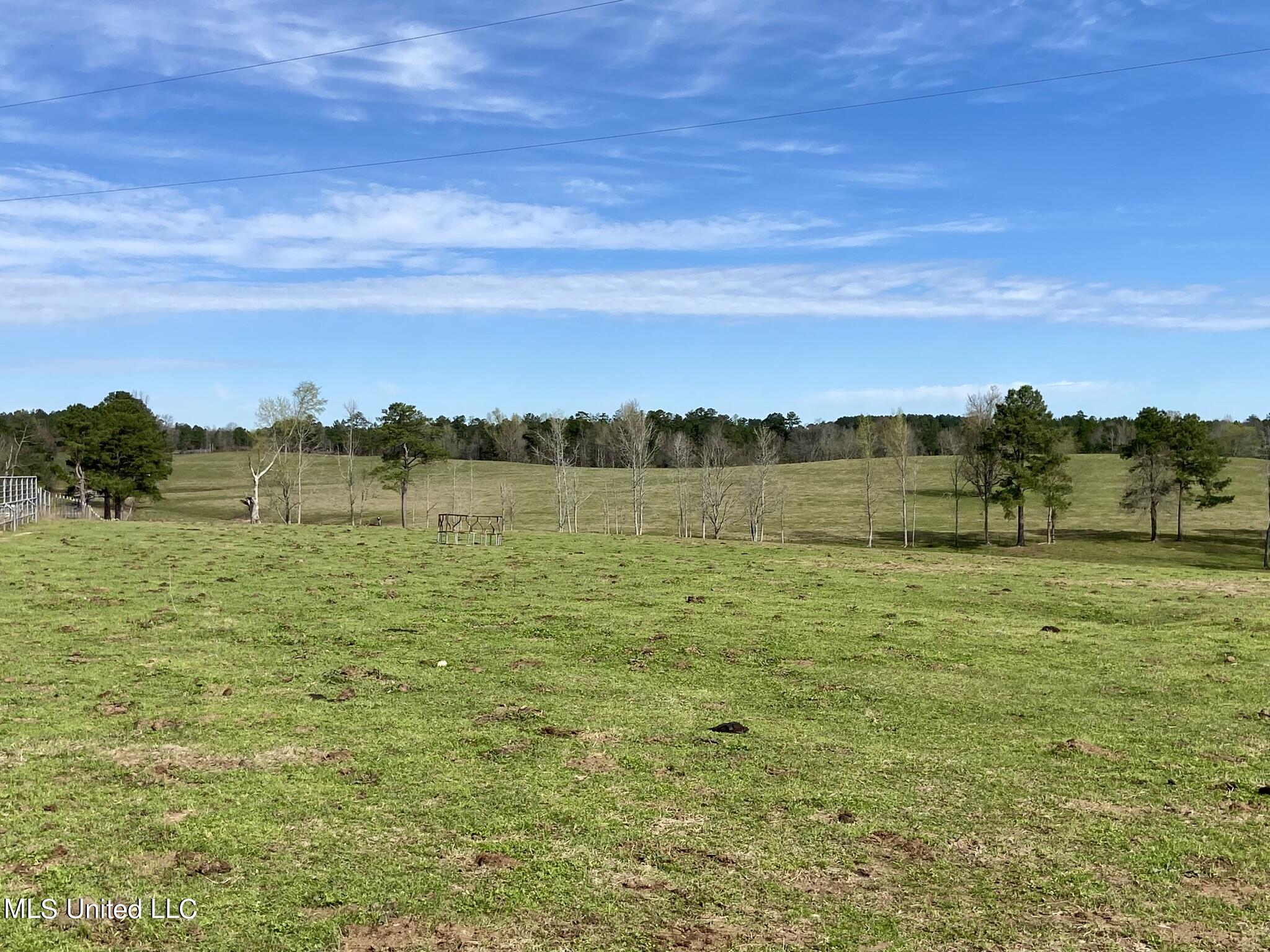 107 Co Rd 224, Pachuta, Mississippi image 23