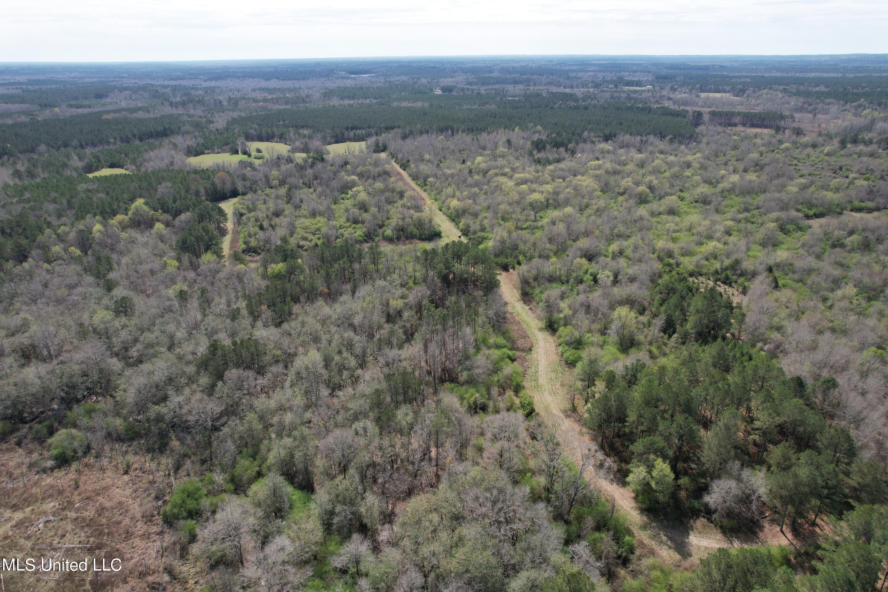 107 Co Rd 224, Pachuta, Mississippi image 30