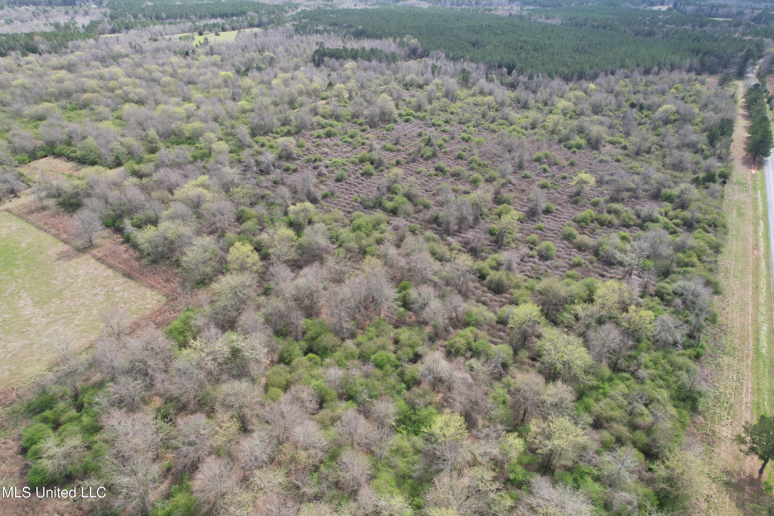 107 Co Rd 224, Pachuta, Mississippi image 41