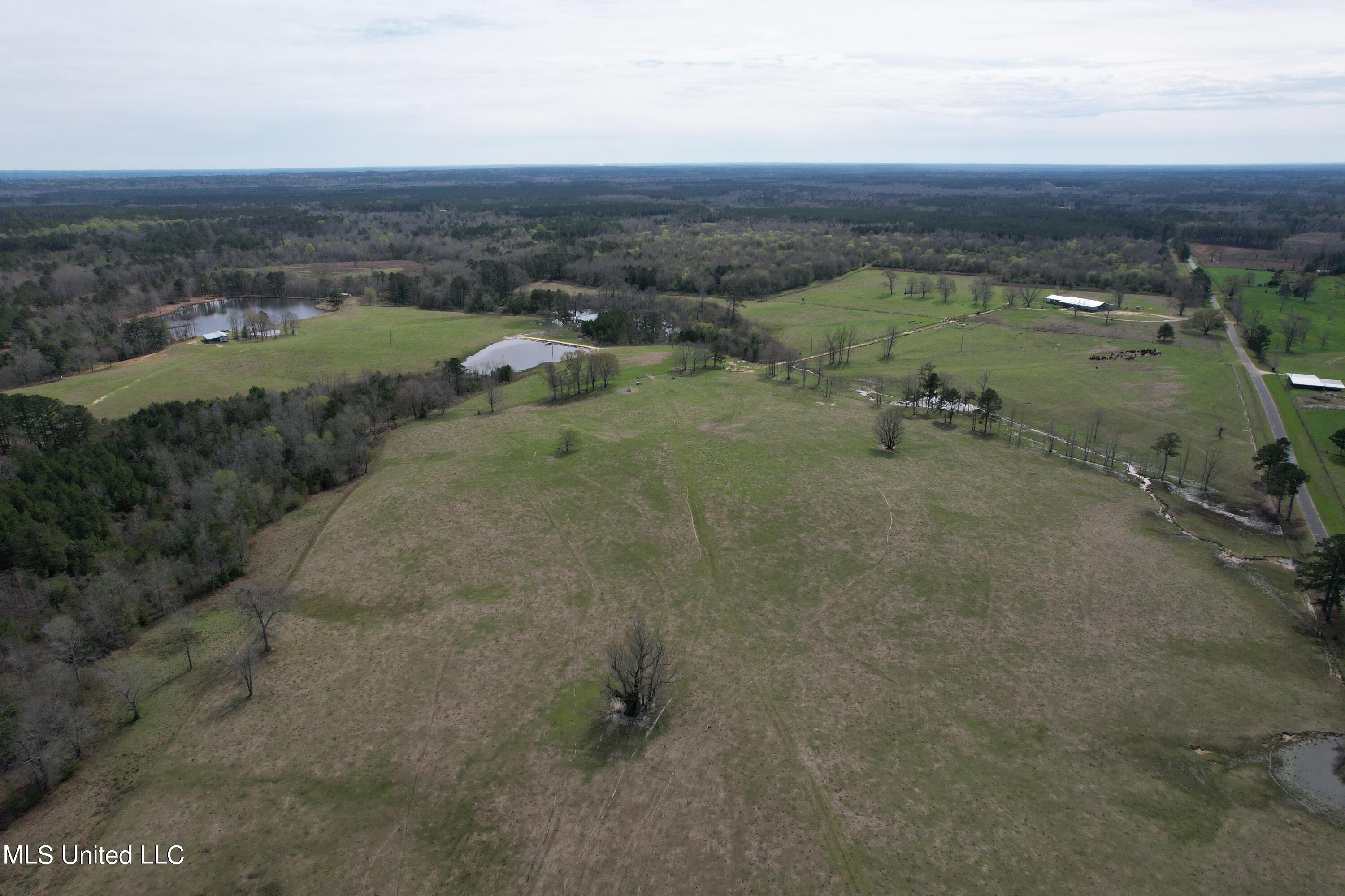 107 Co Rd 224, Pachuta, Mississippi image 10