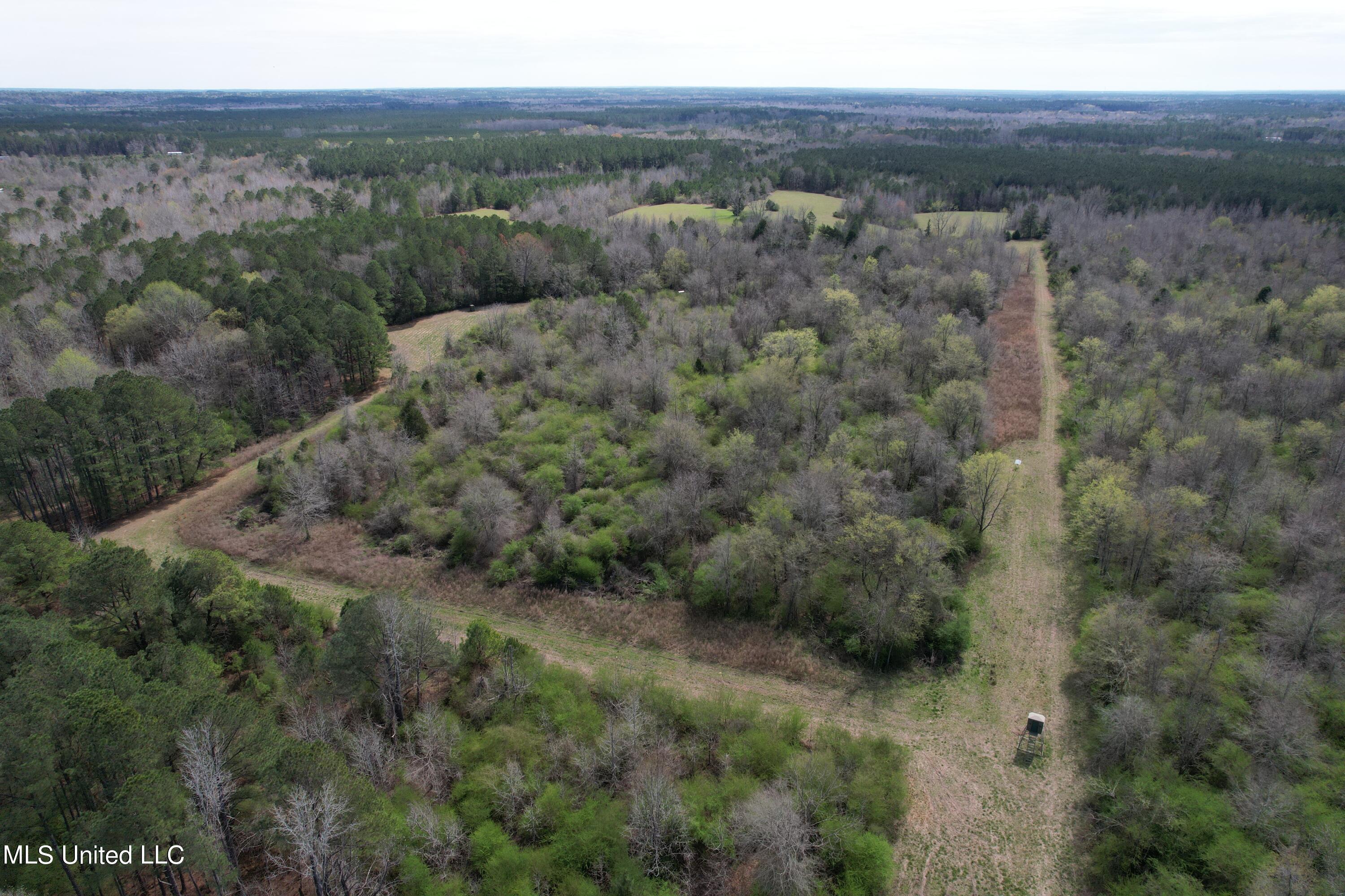 107 Co Rd 224, Pachuta, Mississippi image 43