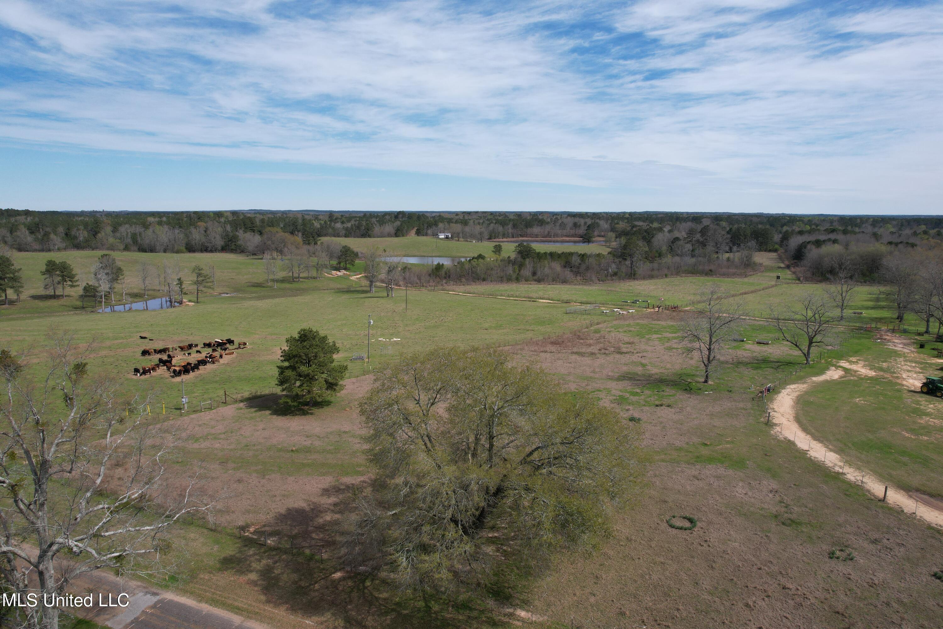 107 Co Rd 224, Pachuta, Mississippi image 5