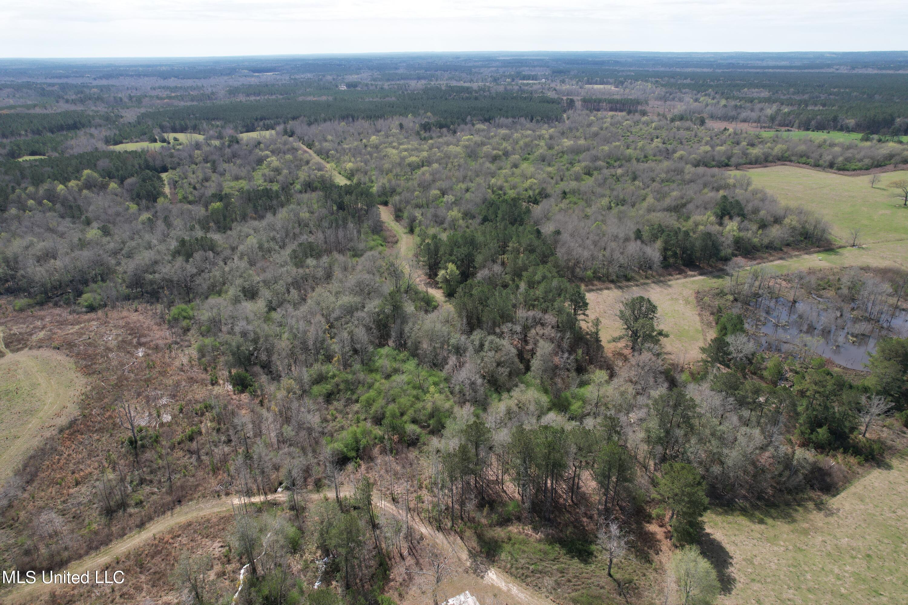 107 Co Rd 224, Pachuta, Mississippi image 28