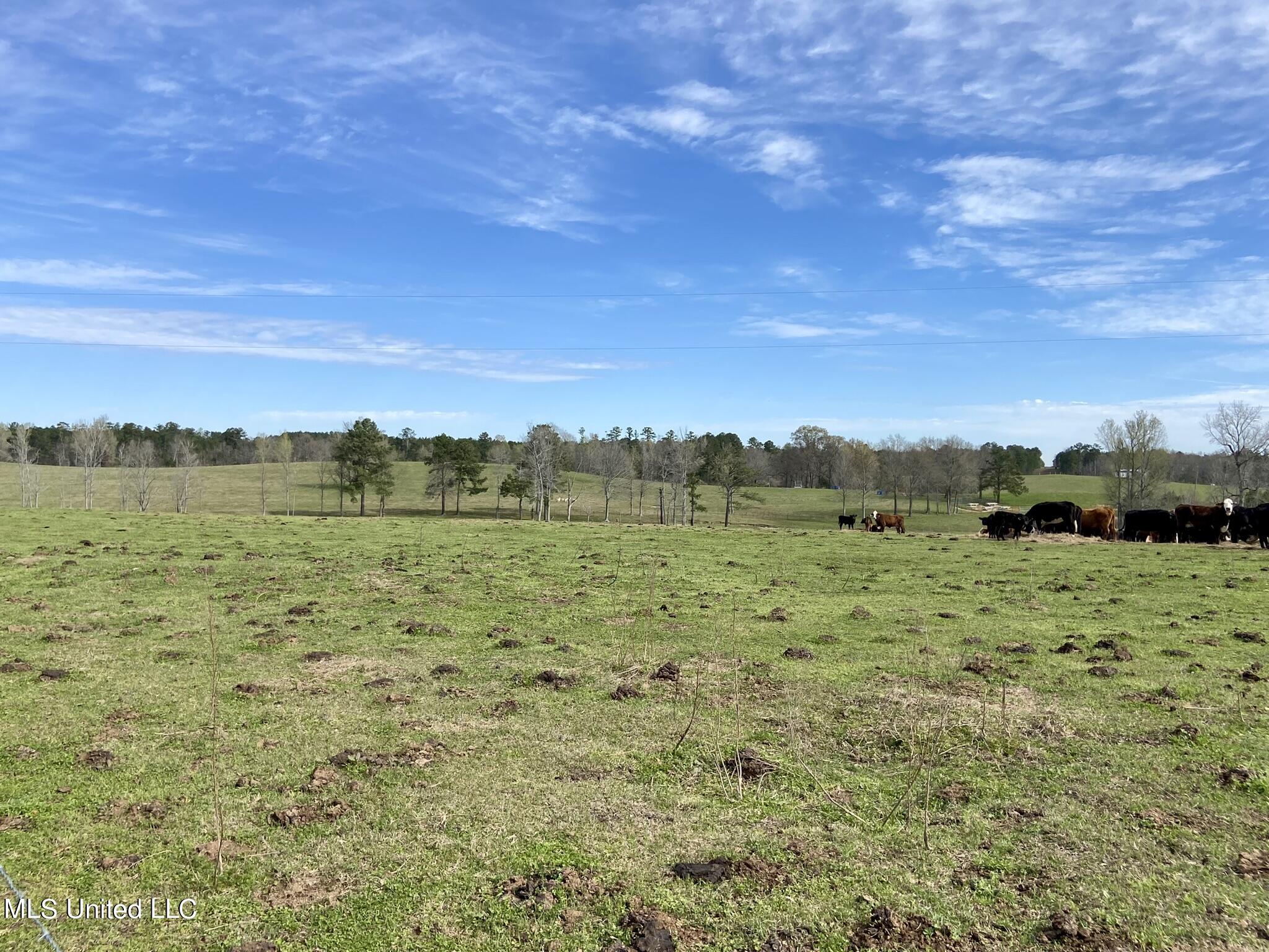 107 Co Rd 224, Pachuta, Mississippi image 17