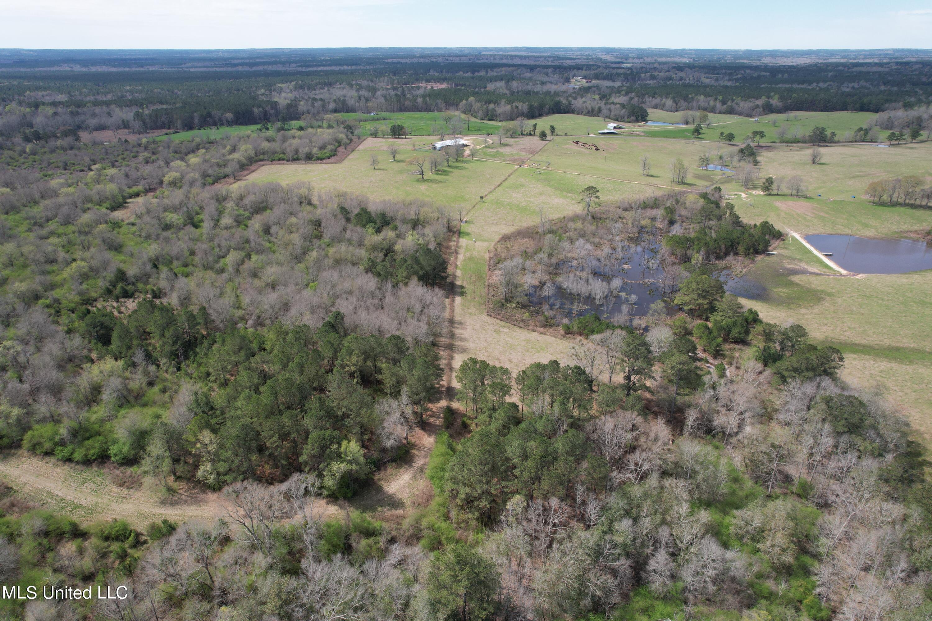 107 Co Rd 224, Pachuta, Mississippi image 40