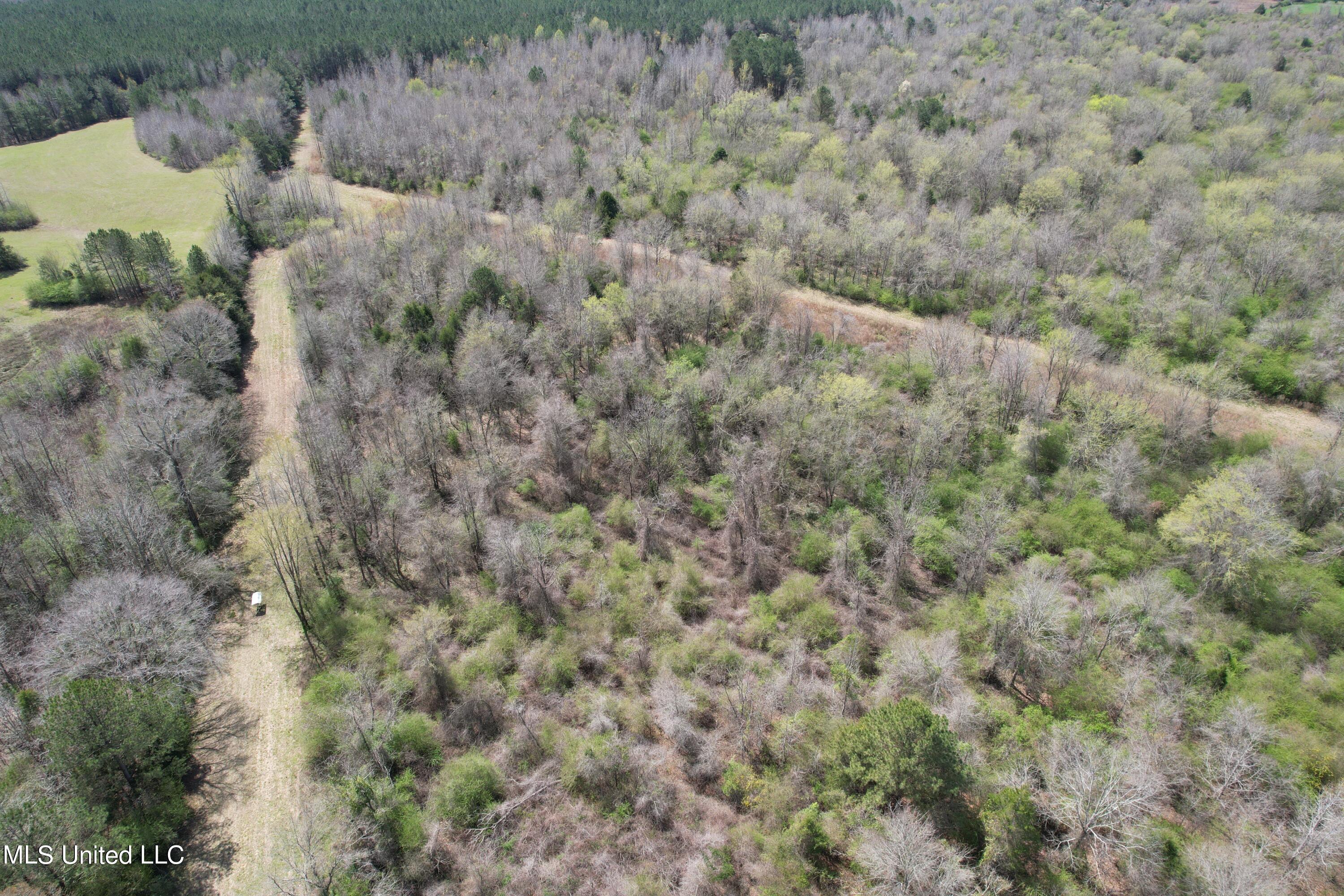 107 Co Rd 224, Pachuta, Mississippi image 50