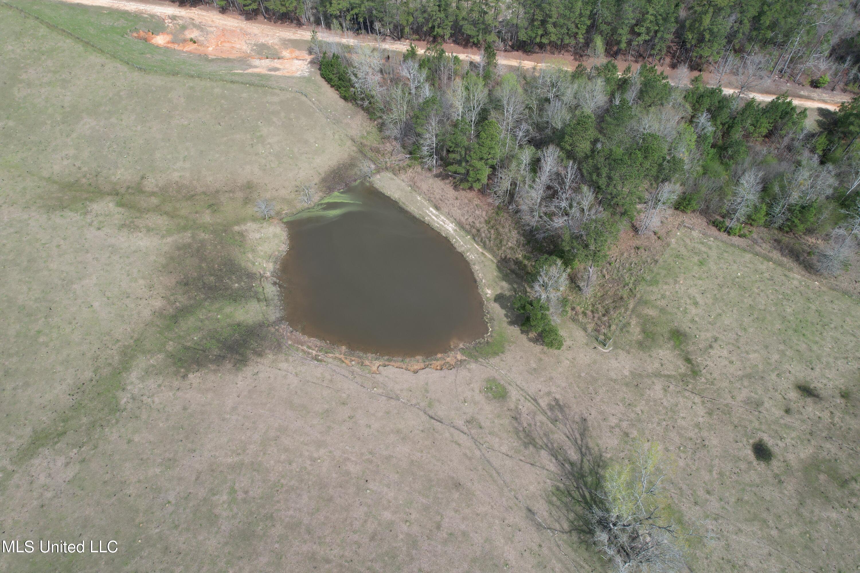 107 Co Rd 224, Pachuta, Mississippi image 9