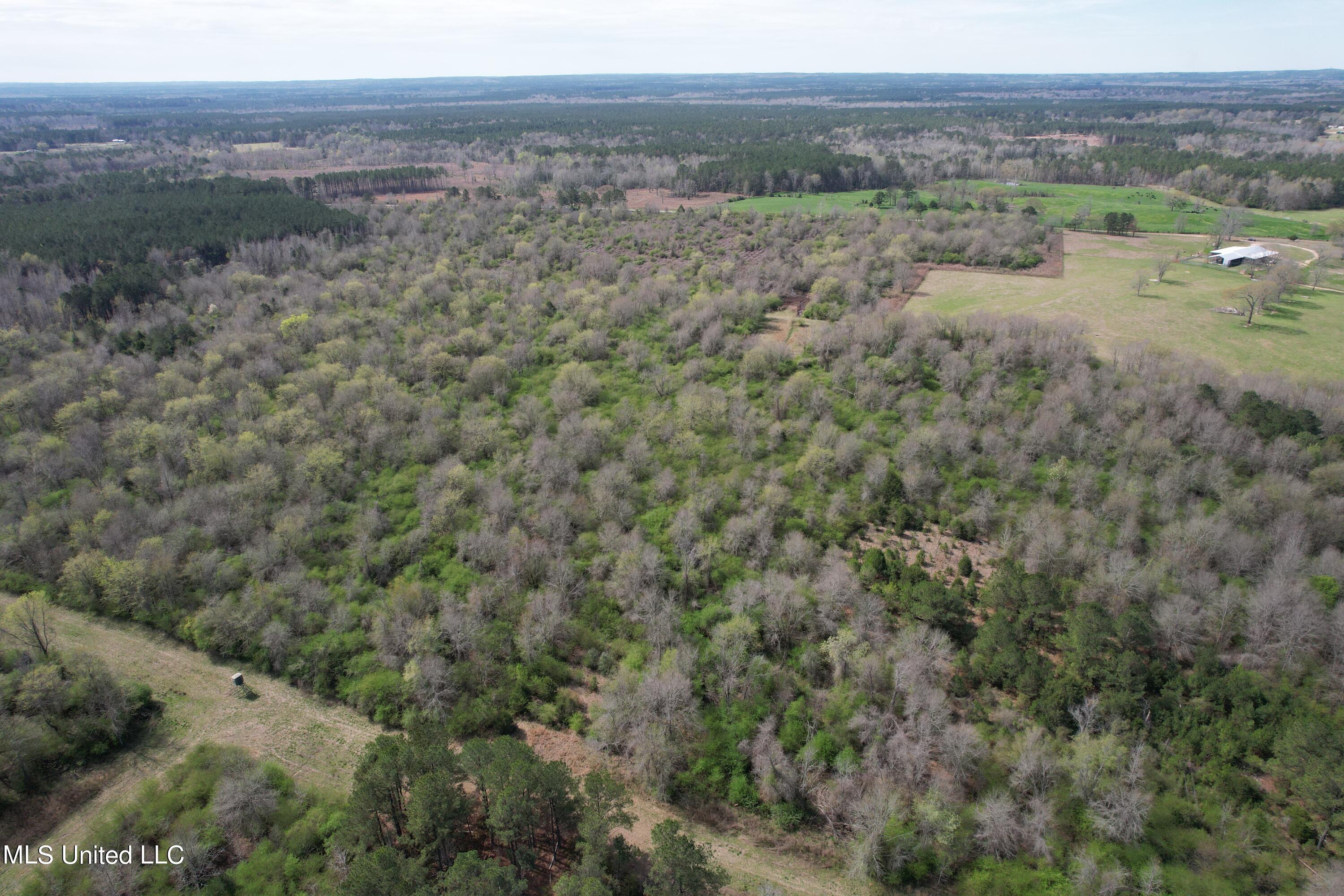 107 Co Rd 224, Pachuta, Mississippi image 32