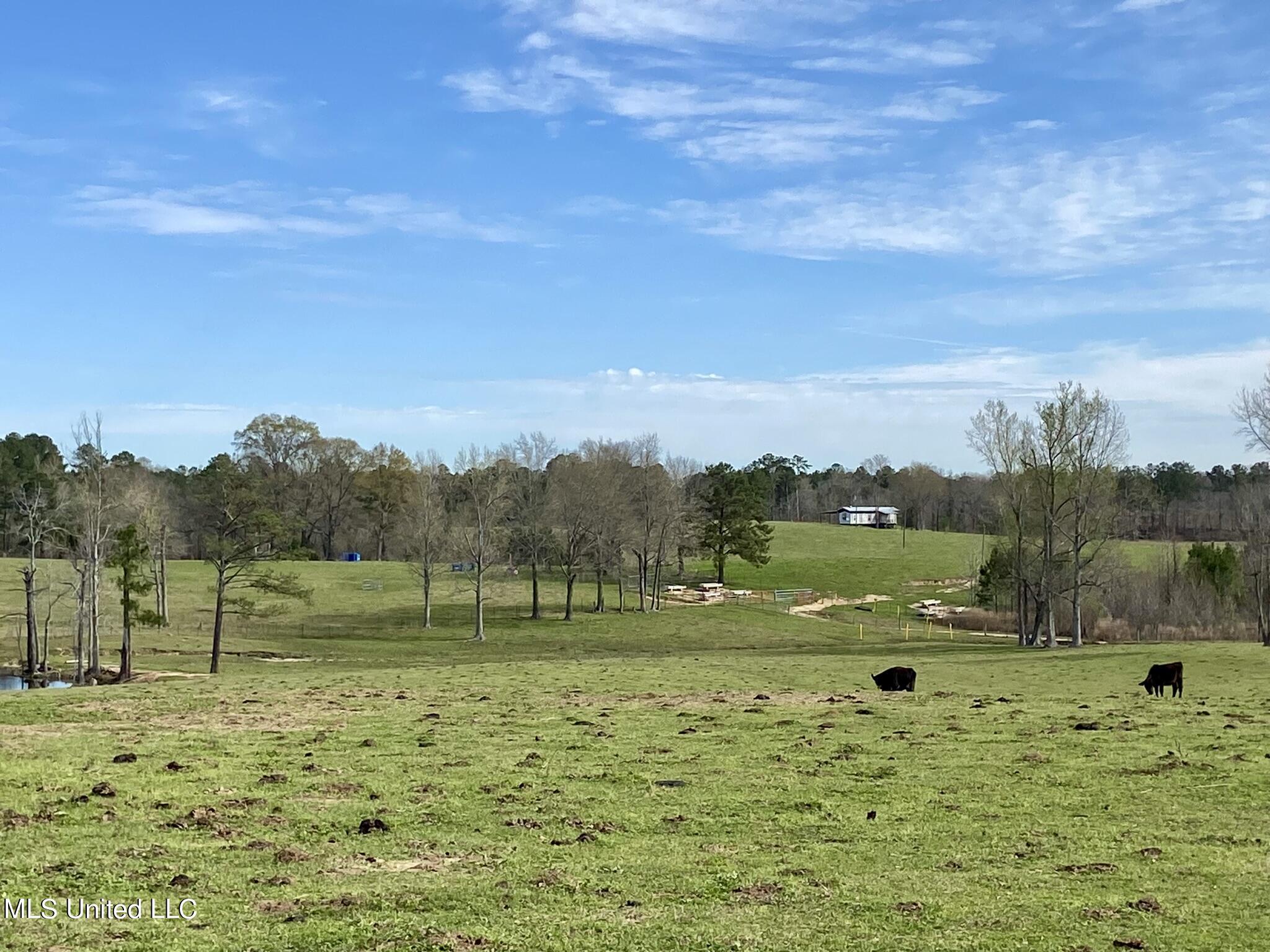 107 Co Rd 224, Pachuta, Mississippi image 22