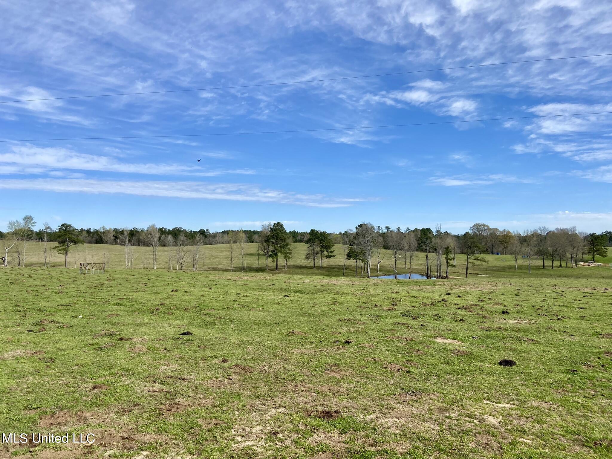 107 Co Rd 224, Pachuta, Mississippi image 21