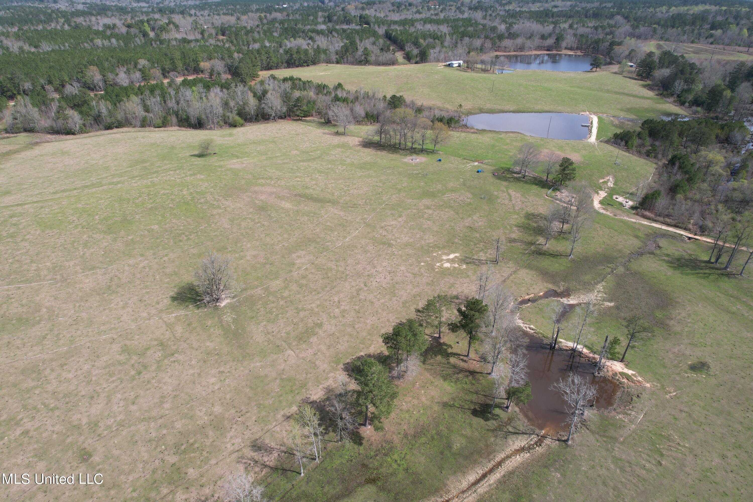 107 Co Rd 224, Pachuta, Mississippi image 8
