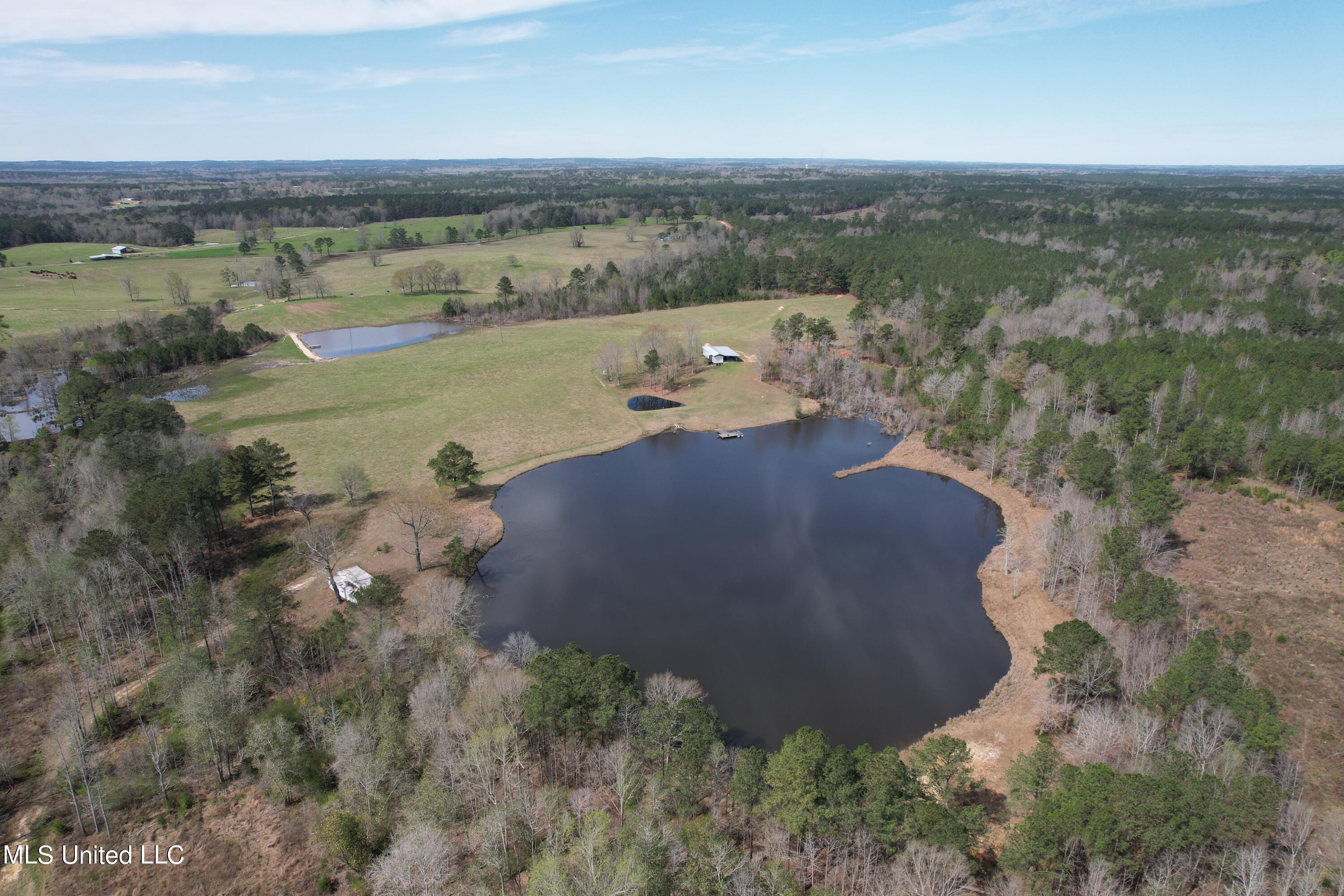 107 Co Rd 224, Pachuta, Mississippi image 27