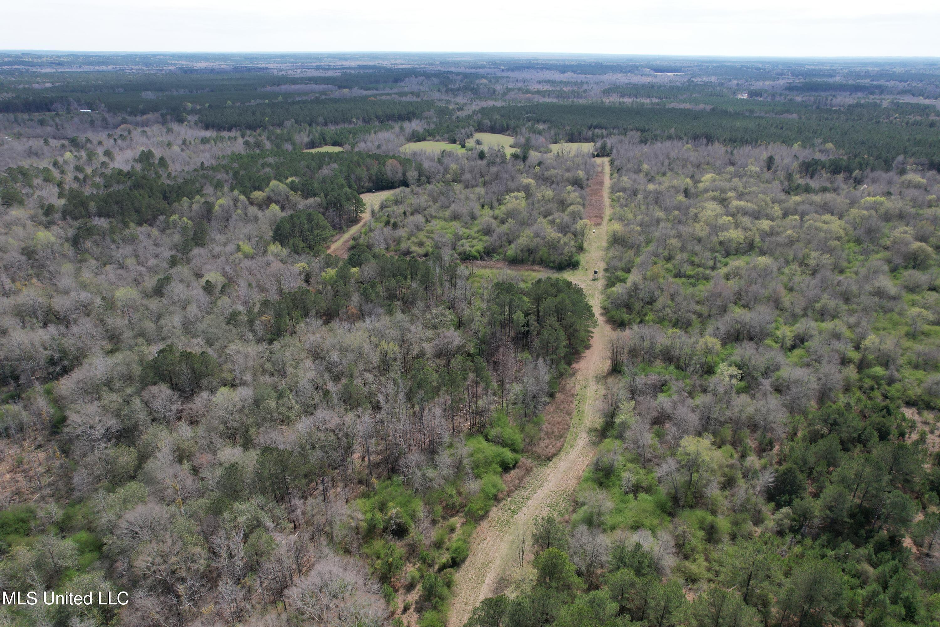 107 Co Rd 224, Pachuta, Mississippi image 42