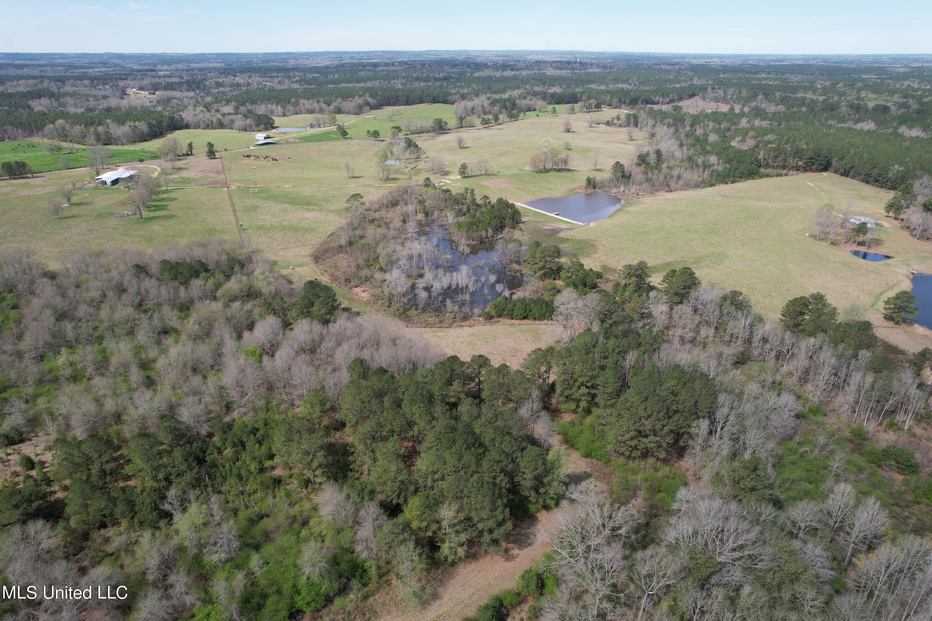 107 Co Rd 224, Pachuta, Mississippi image 33