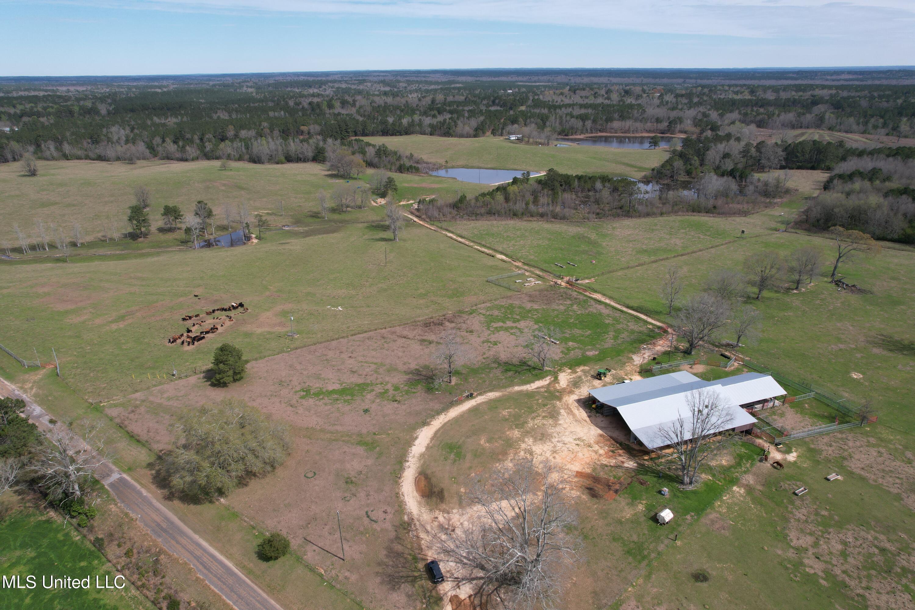 107 Co Rd 224, Pachuta, Mississippi image 4